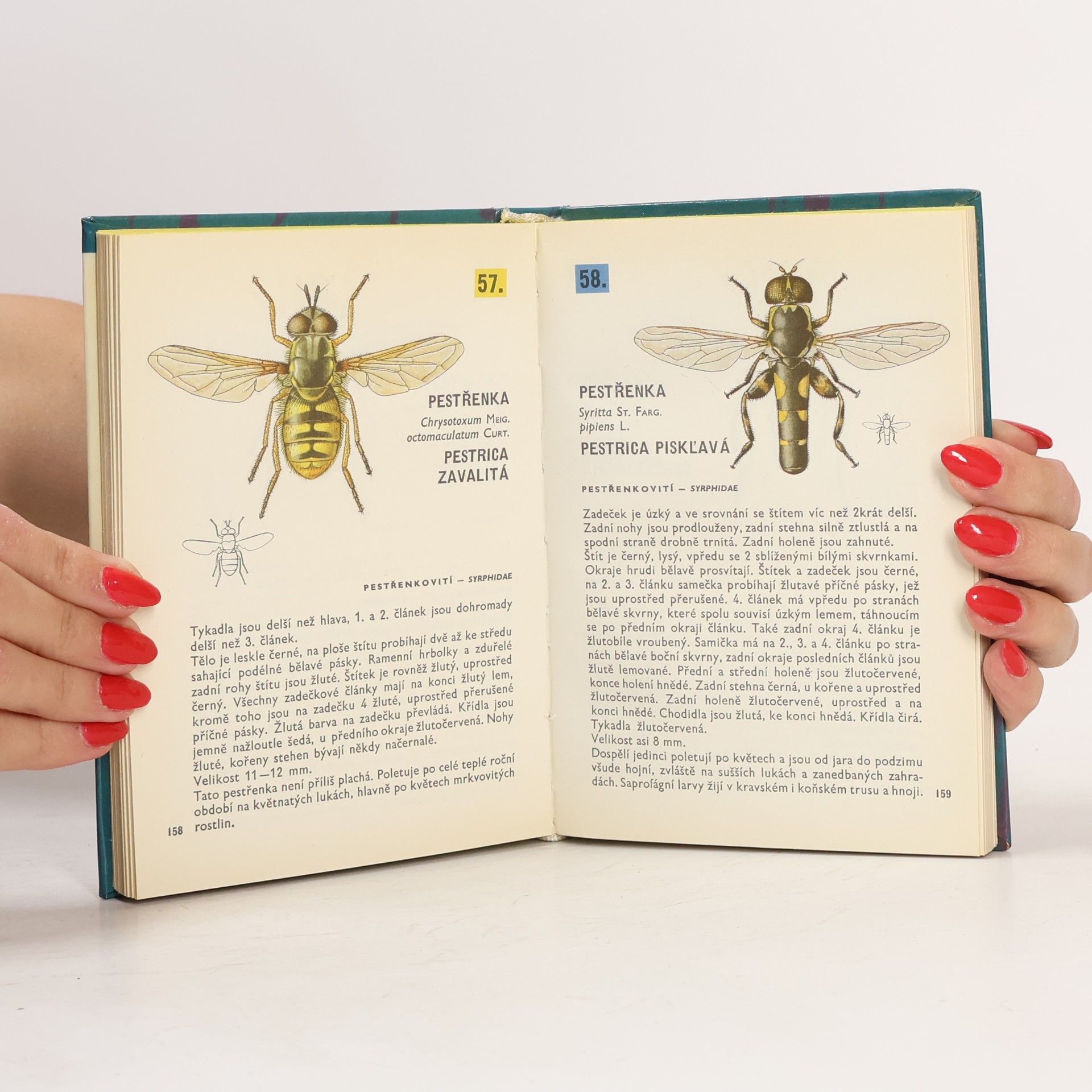 Vladimír Javorek Kapesní atlas dvoukřídlého hmyzu