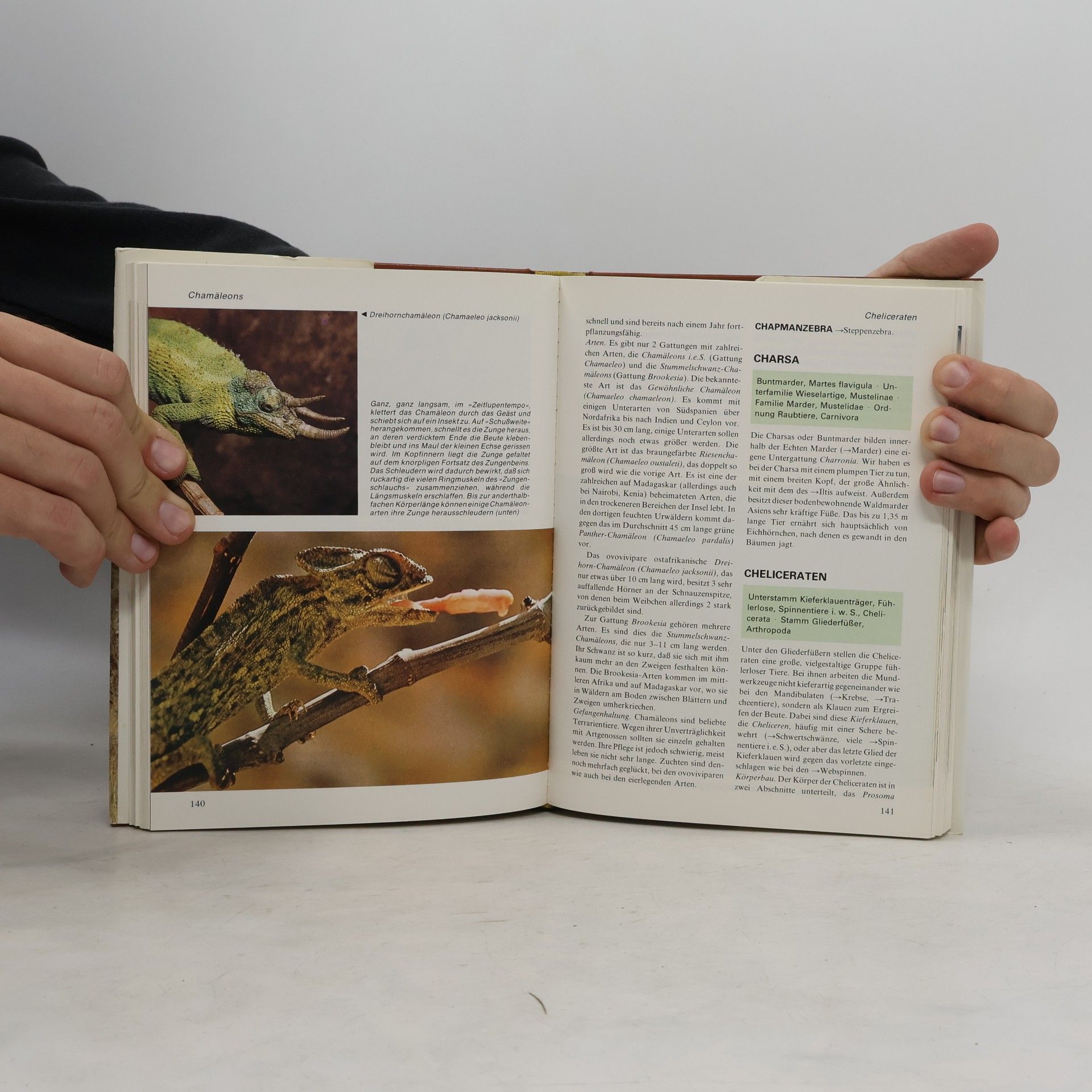 Autorenkollektiv Das moderne Tierlexikon 2. Bit-Elr