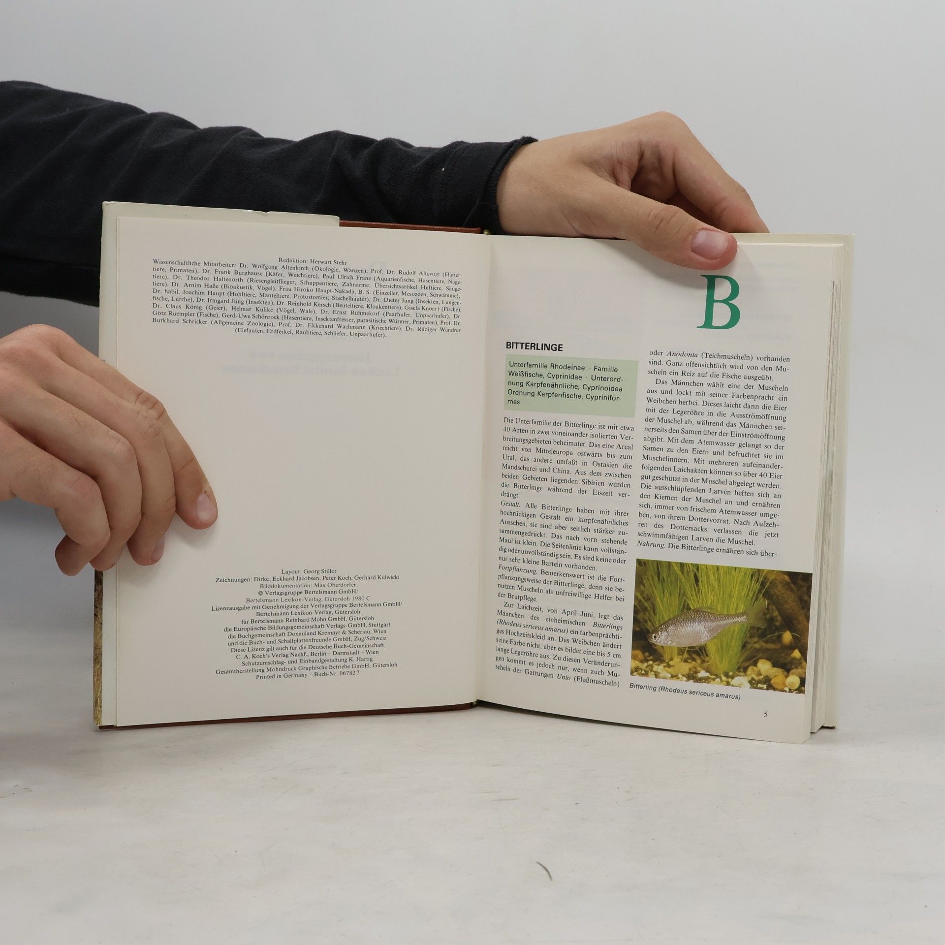 Autorenkollektiv Das moderne Tierlexikon 2. Bit-Elr
