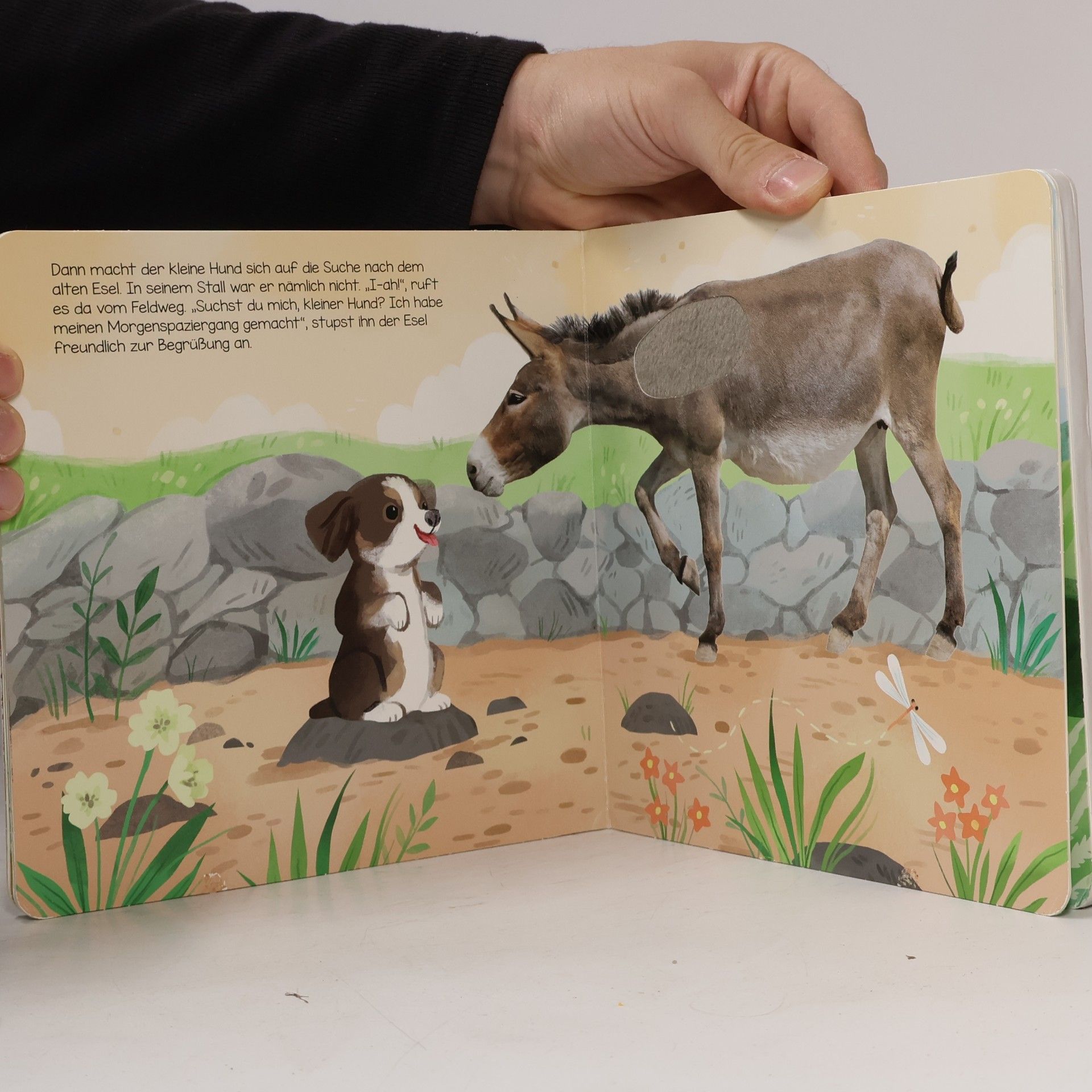 Kathryn Selbert Hör mal, kleiner Hund!