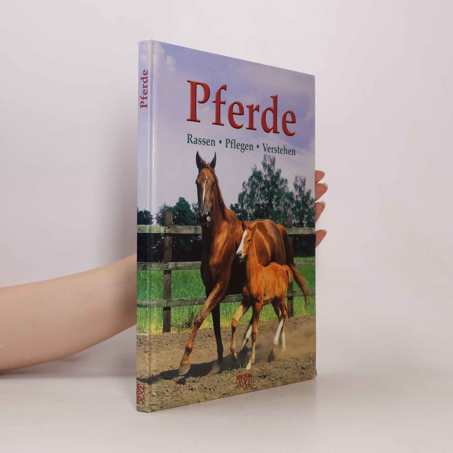 Autorenkollektiv Pferde. Rassen, Pflegen, Verstehen