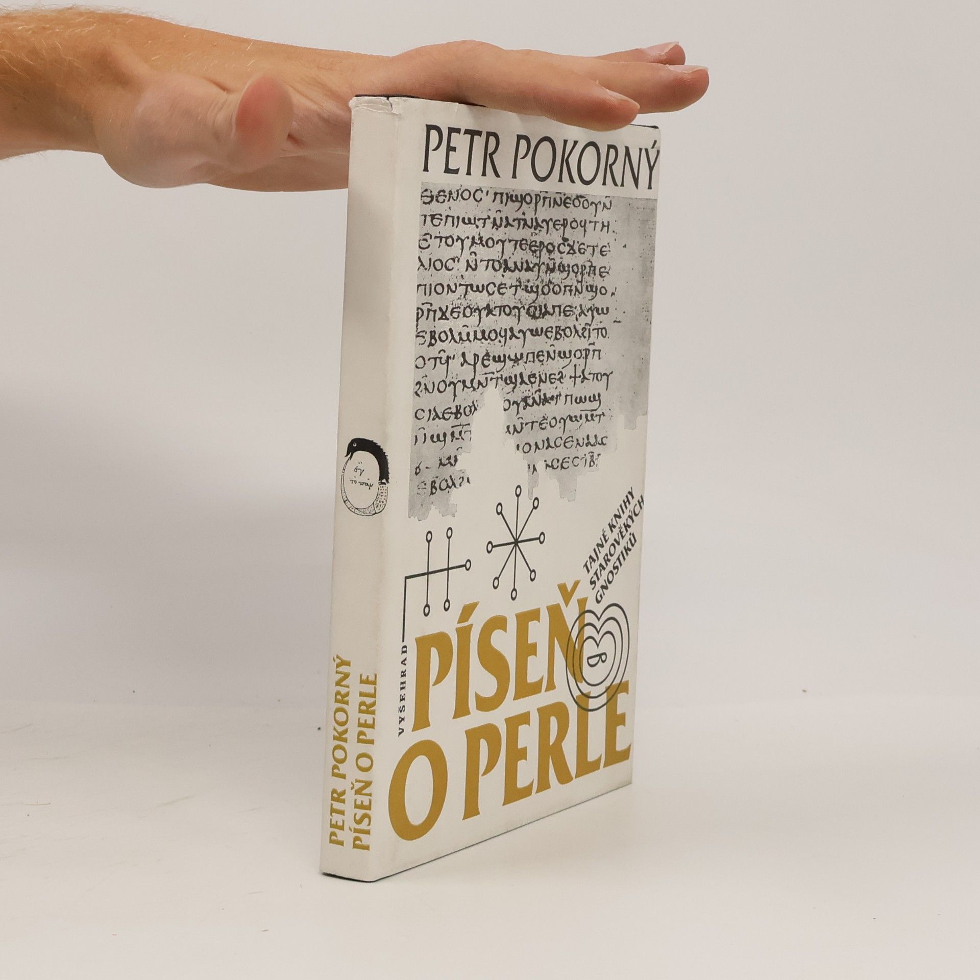 Petr Pokorný Píseň o perle
