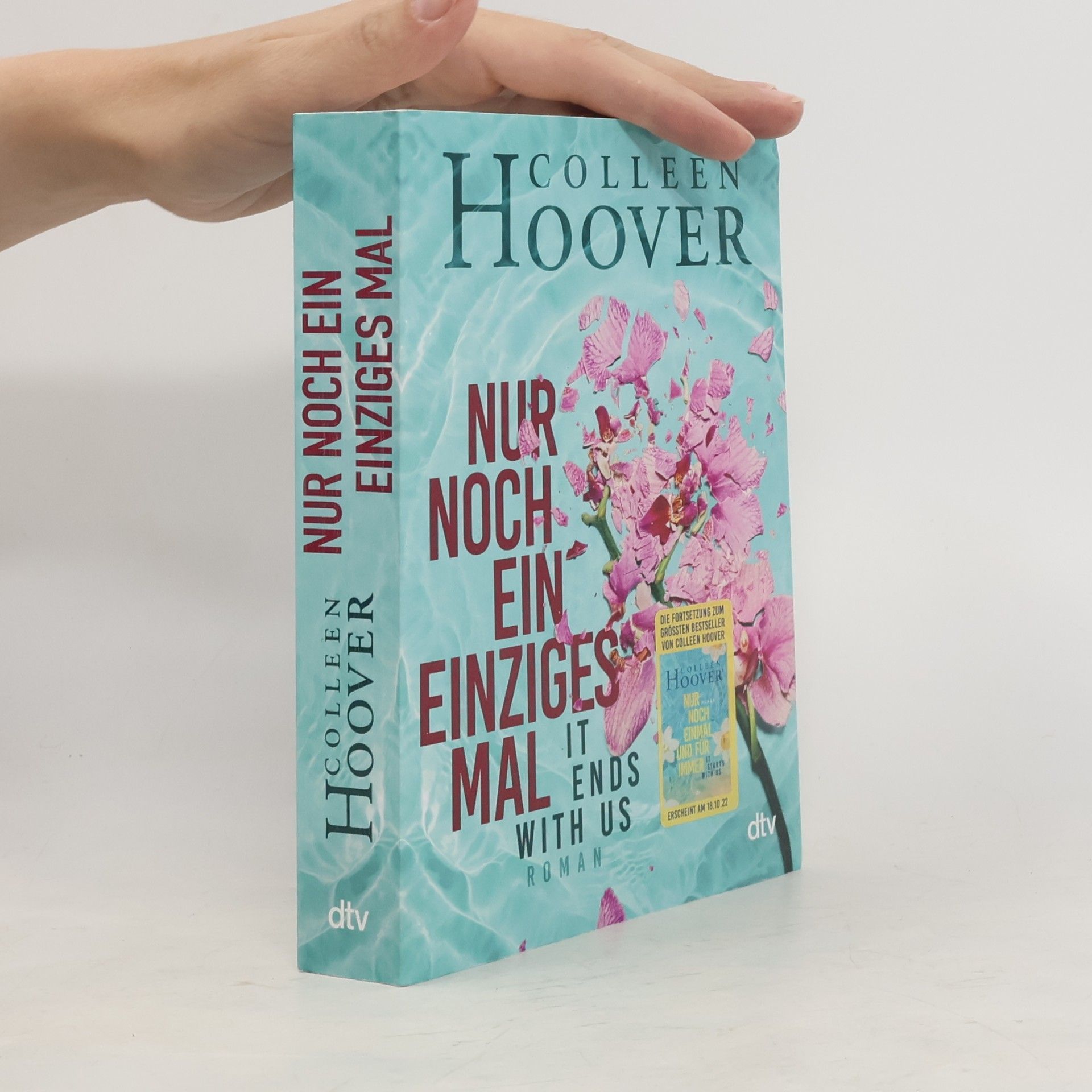 Colleen Hoover Nur noch ein einziges Mal
