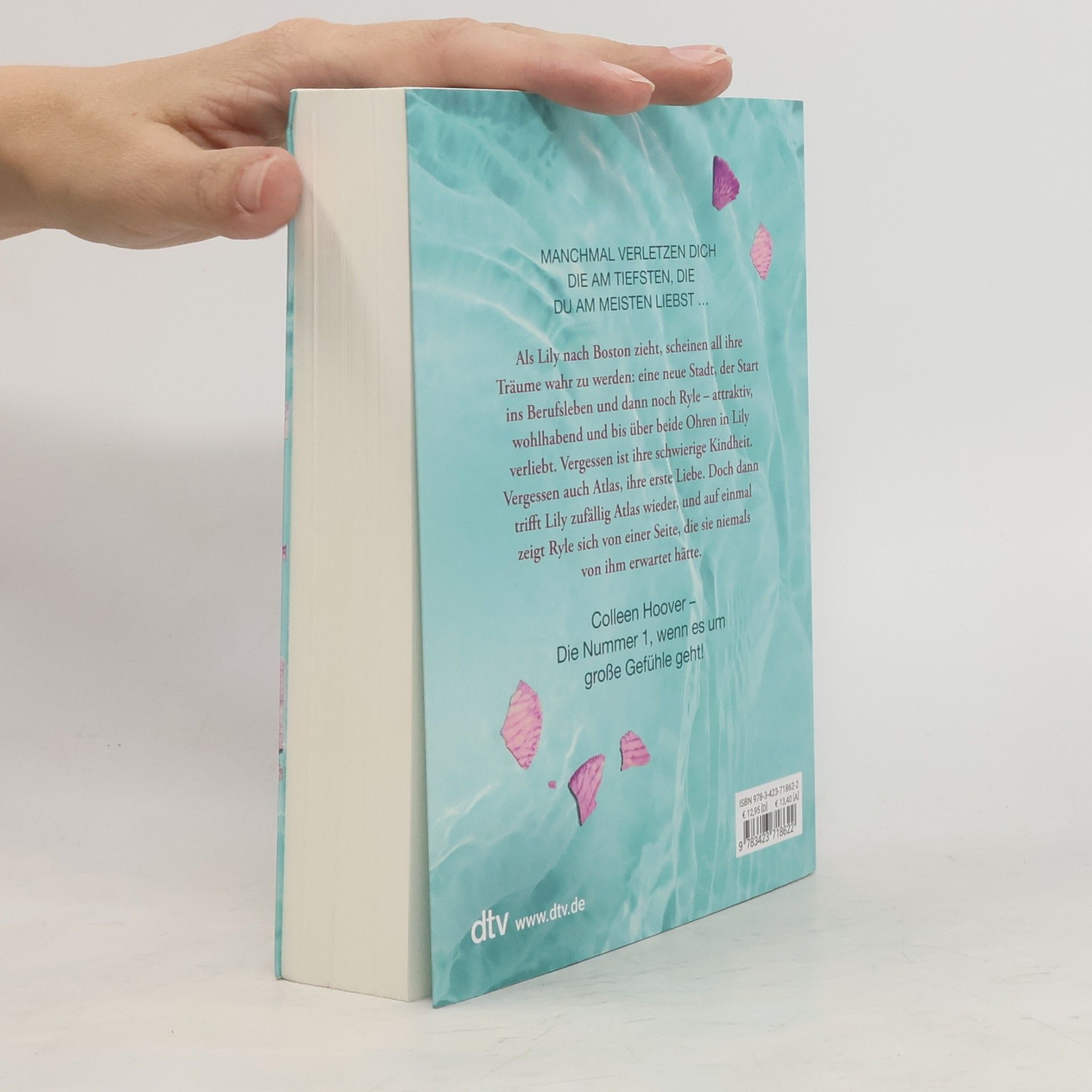 Colleen Hoover Nur noch ein einziges Mal