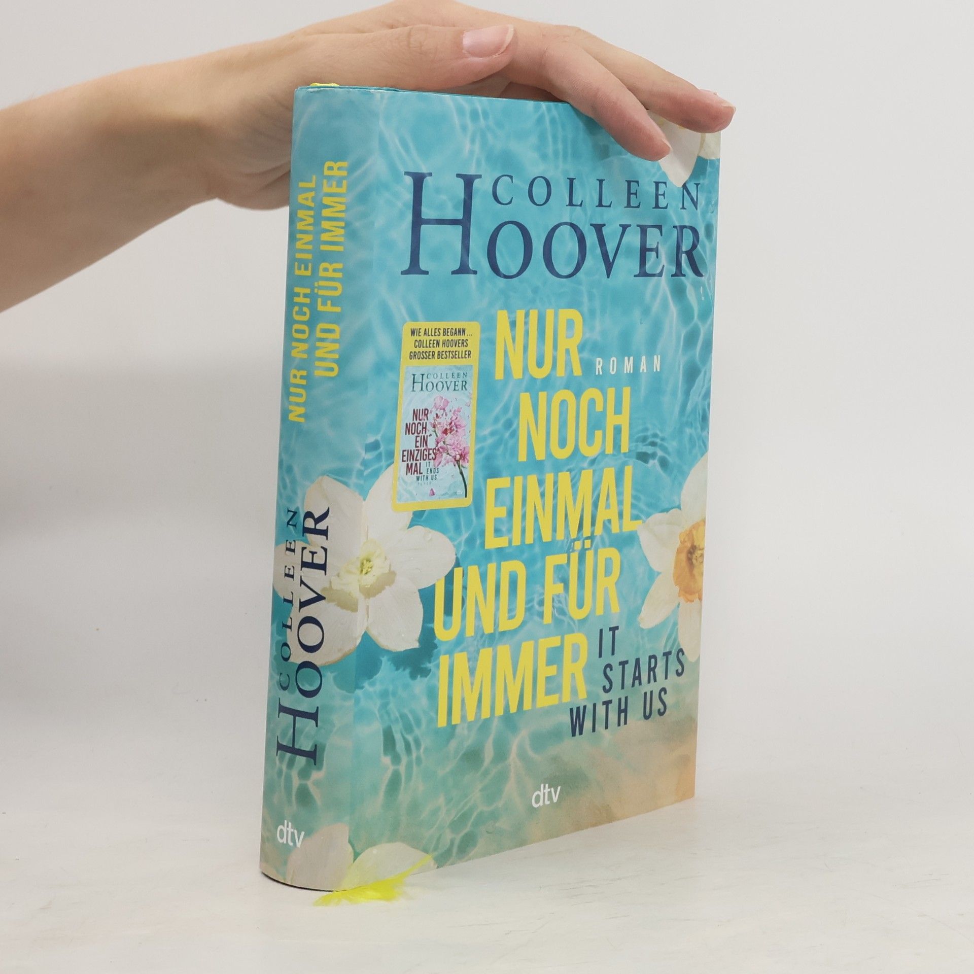 Colleen Hoover Nur noch einmal und für immer