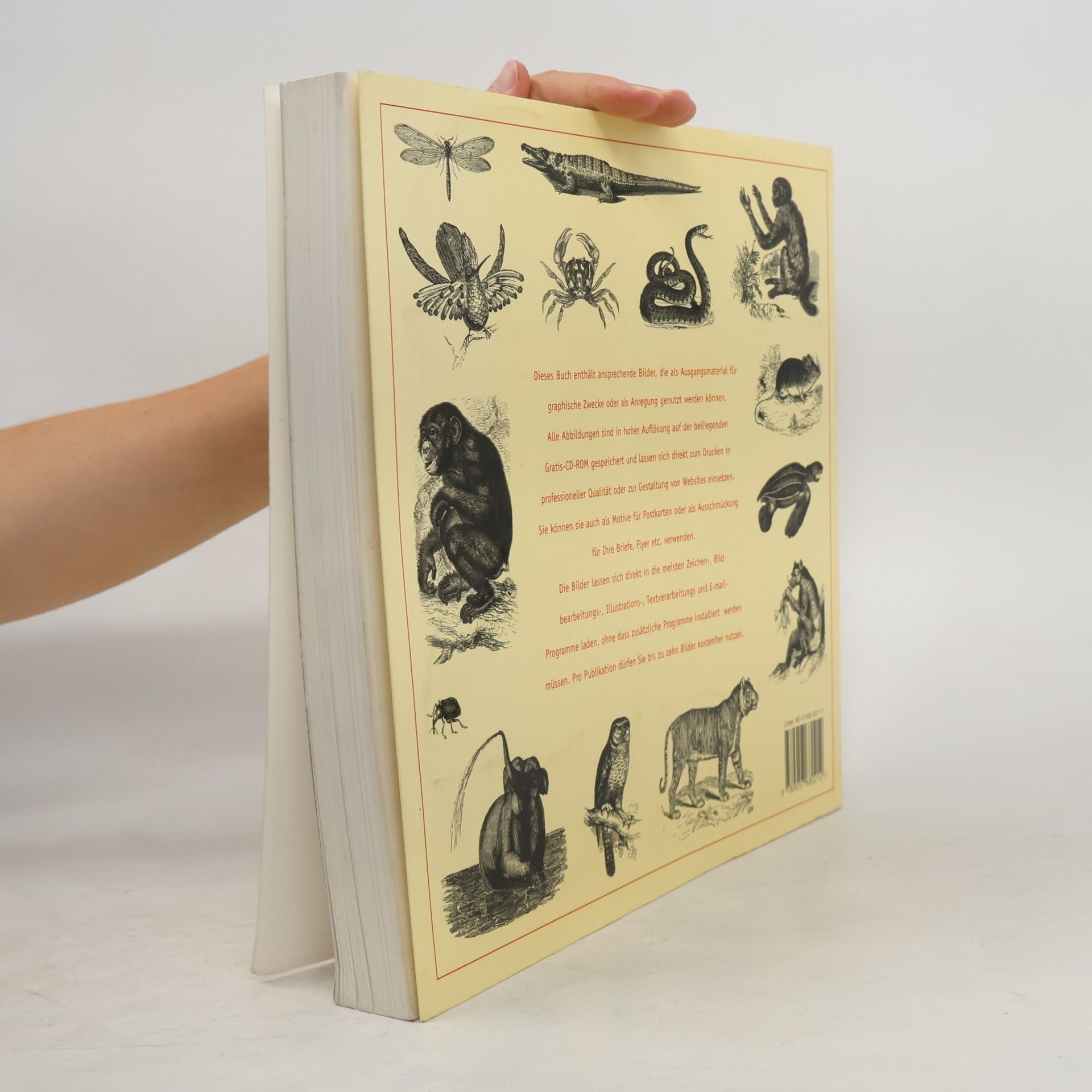 Autorenkollektiv Großer Bildvorlagenatlas 5.000 Tiere mid 4 CD-ROMs