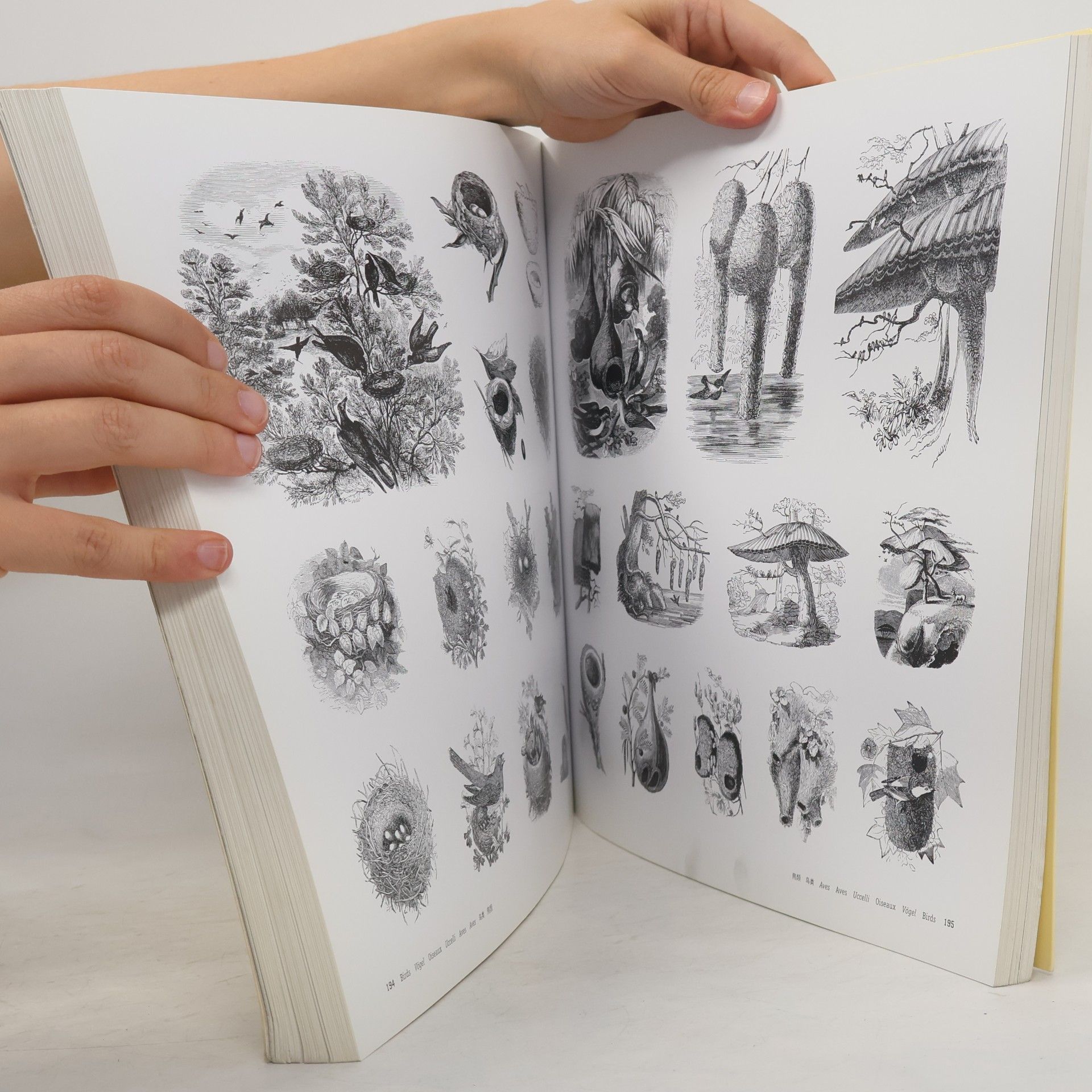 Autorenkollektiv Großer Bildvorlagenatlas 5.000 Tiere mid 4 CD-ROMs