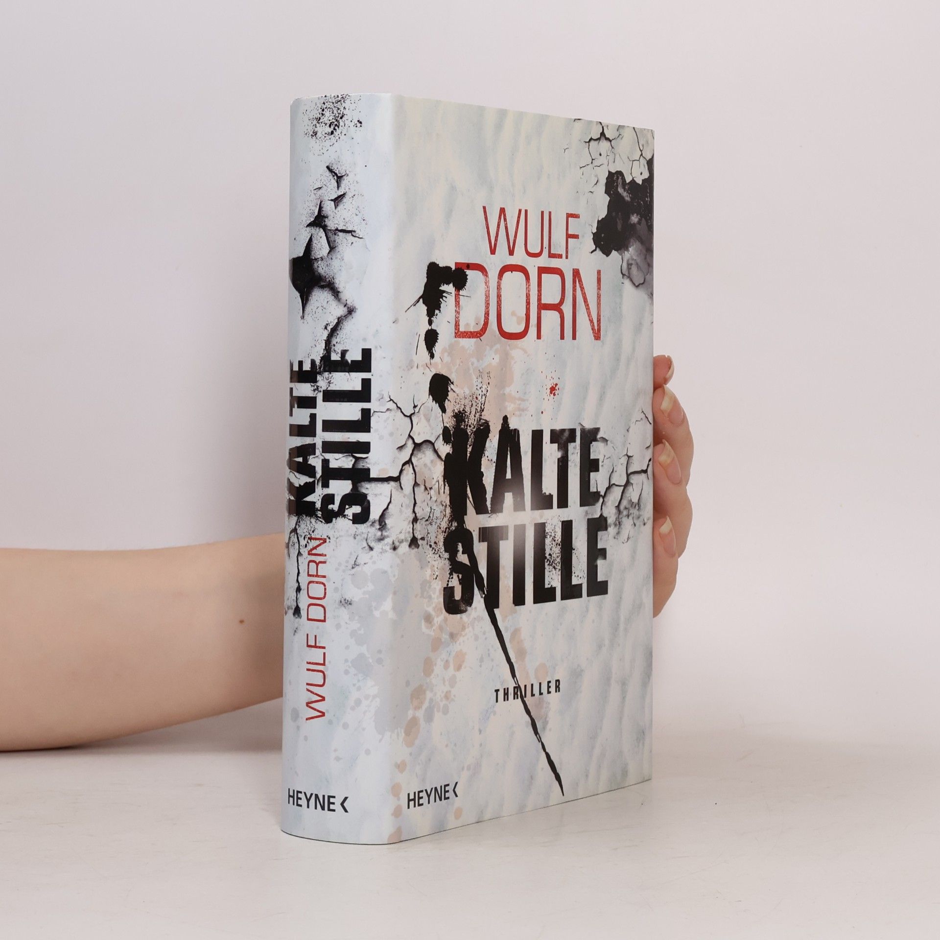 Wulf Dorn Kalte Stille