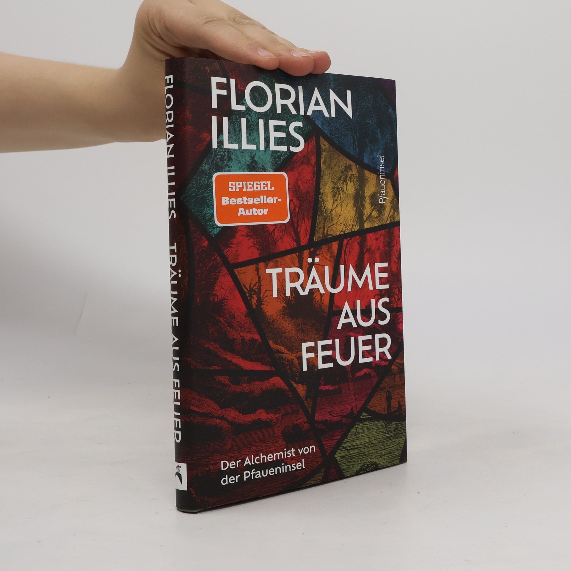 Florian Illies Träume aus Feuer
