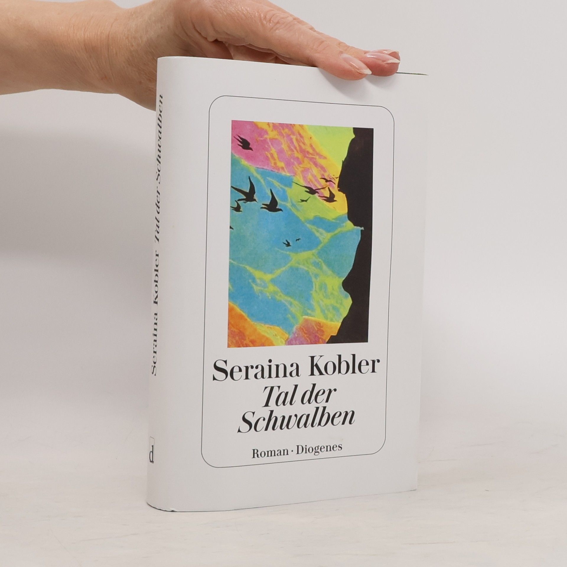 Seraina Kobler Tal der Schwalben