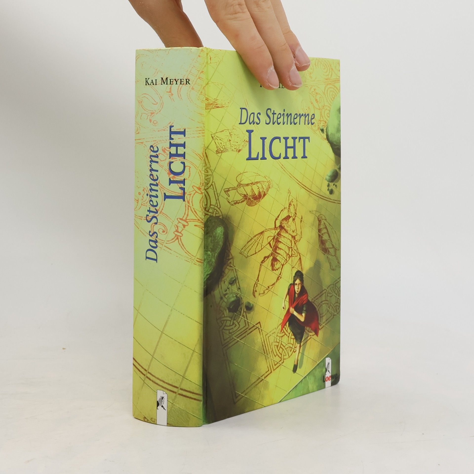 Kai Meyer Das Steinerne Licht