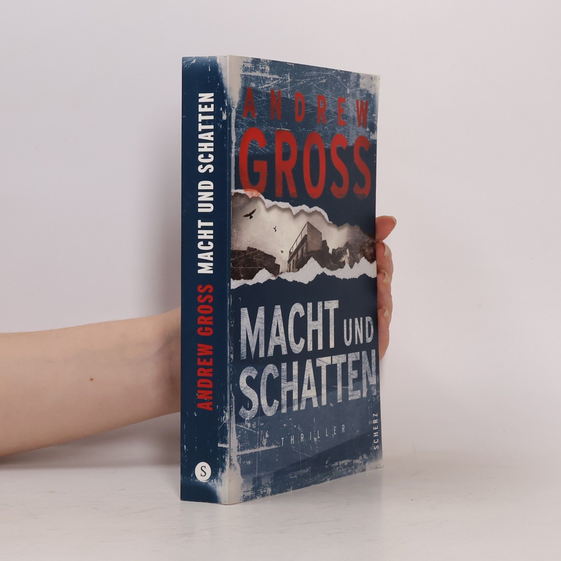 Andrew Gross Macht und Schatten