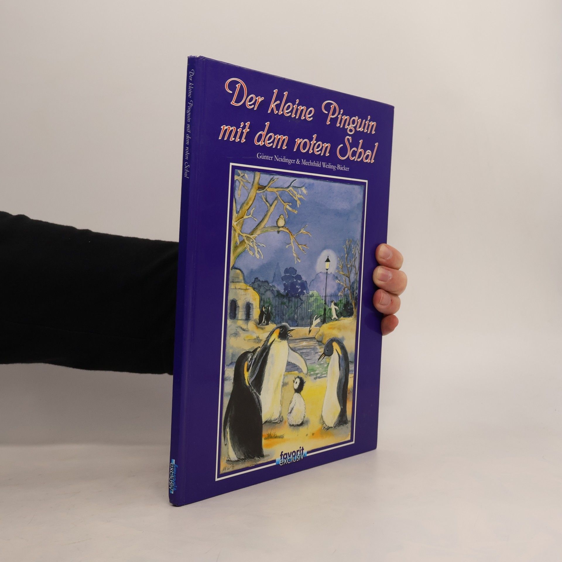 Günter Neidinger Der kleine Pinguin mit dem roten Schal