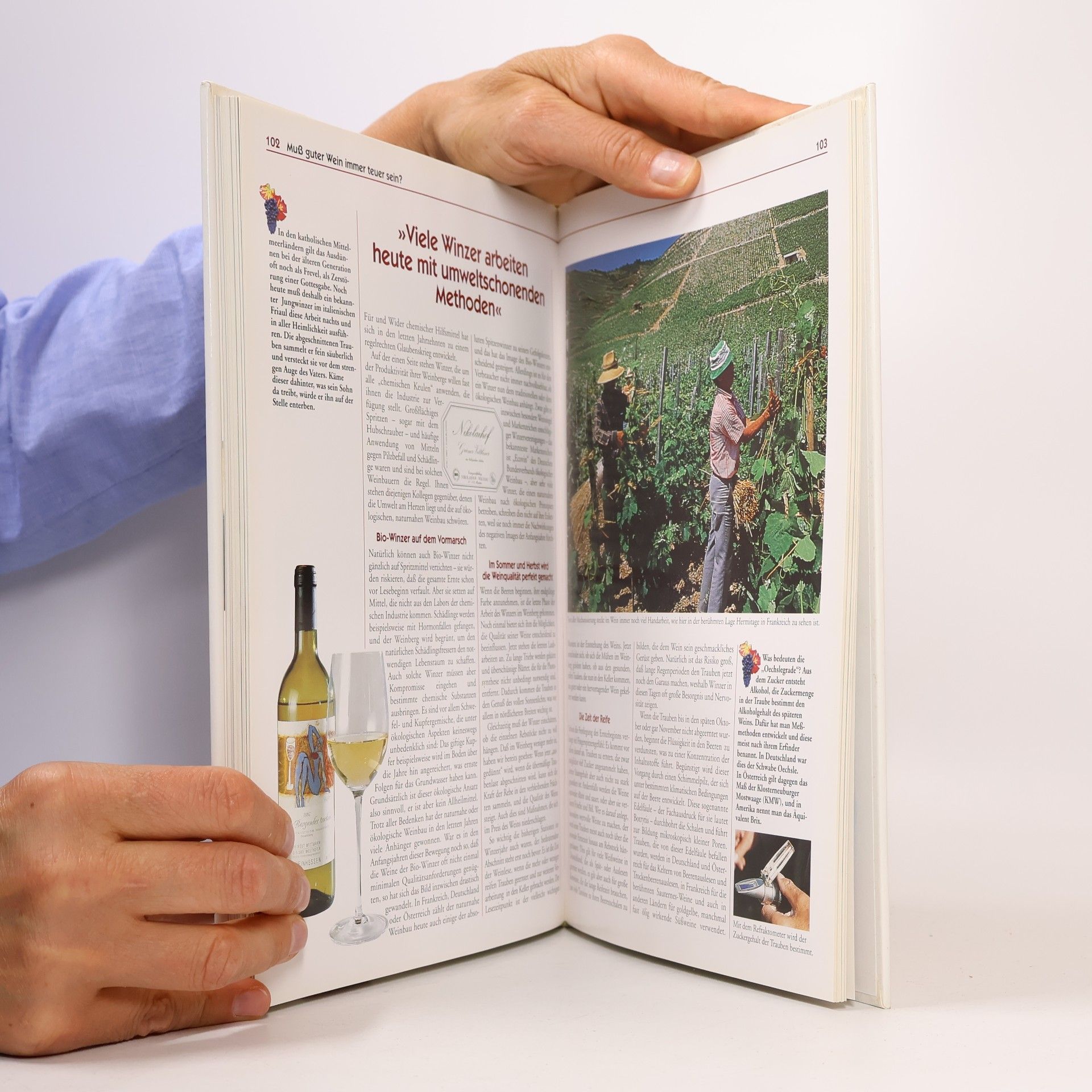 Alexander Niemann Das große Weinbuch