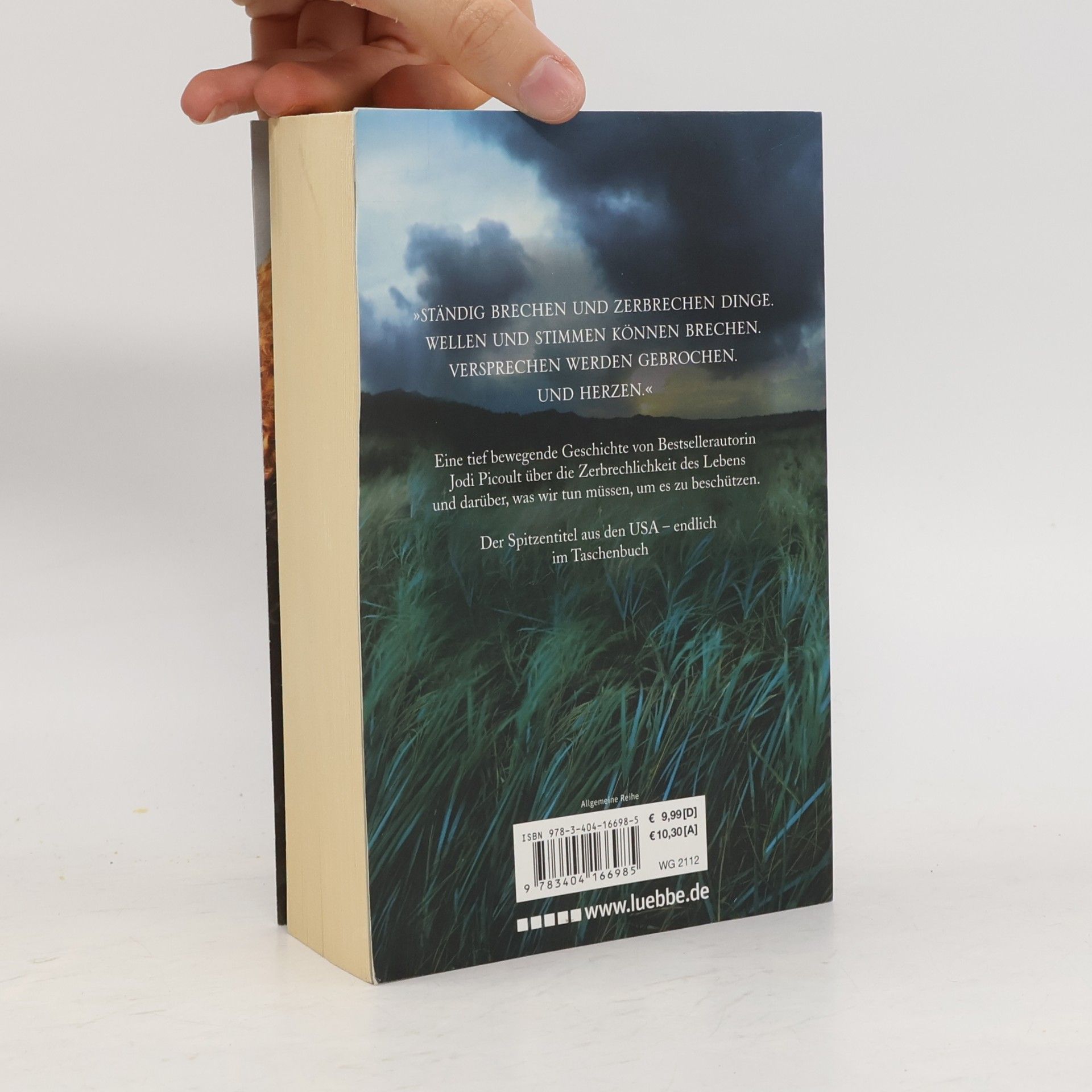 Jodi Picoult Zerbrechlich