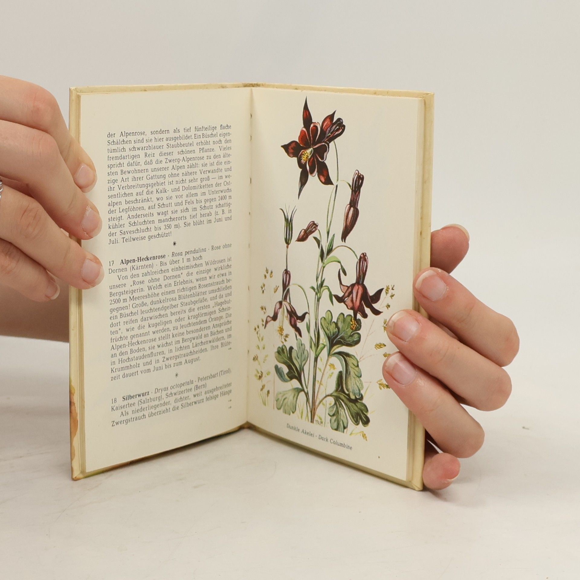 Karl Heinrich Waggerl Die schönsten Alpenblumen