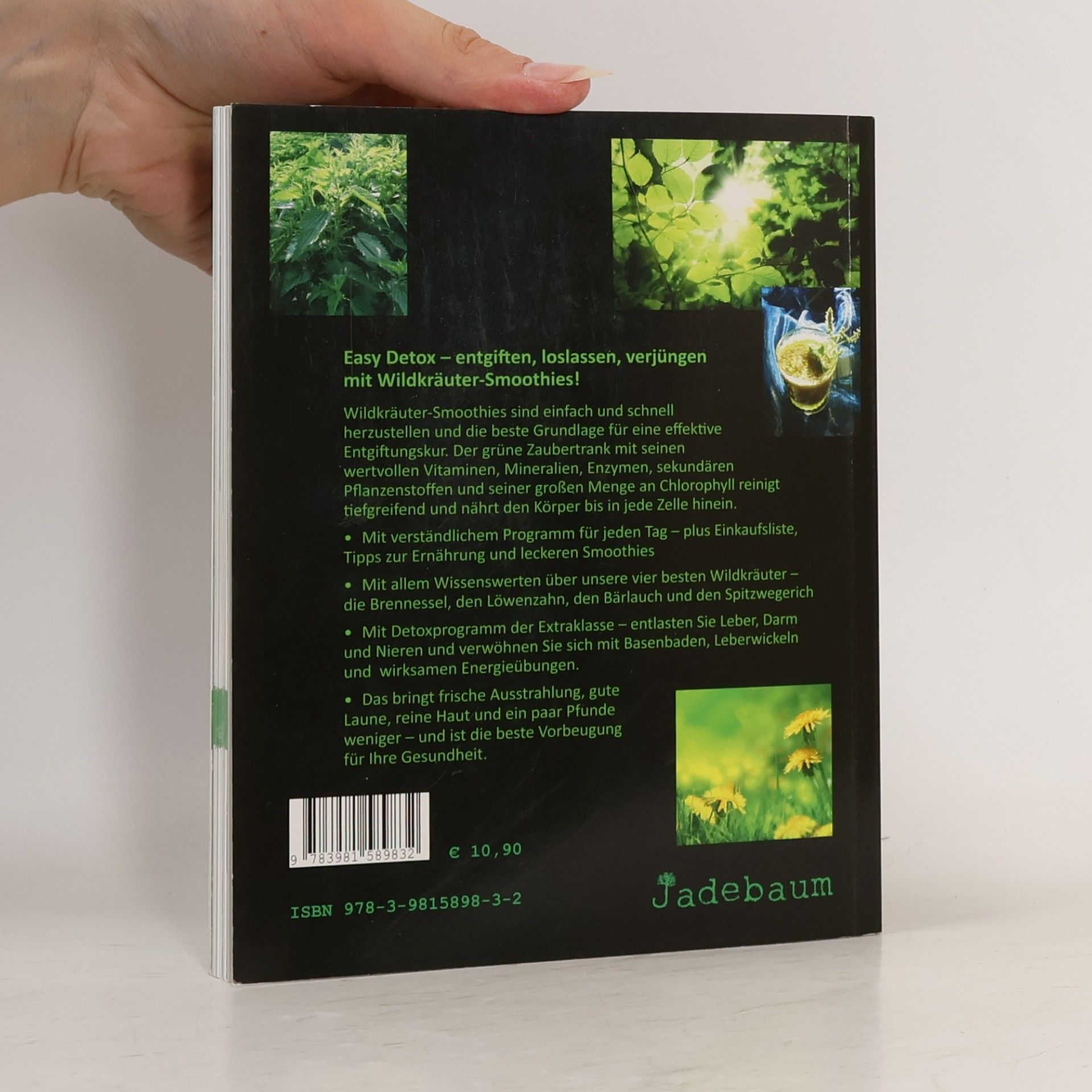 Evelyne Laye Easy Detox mit Wildkräuter-Smoothies