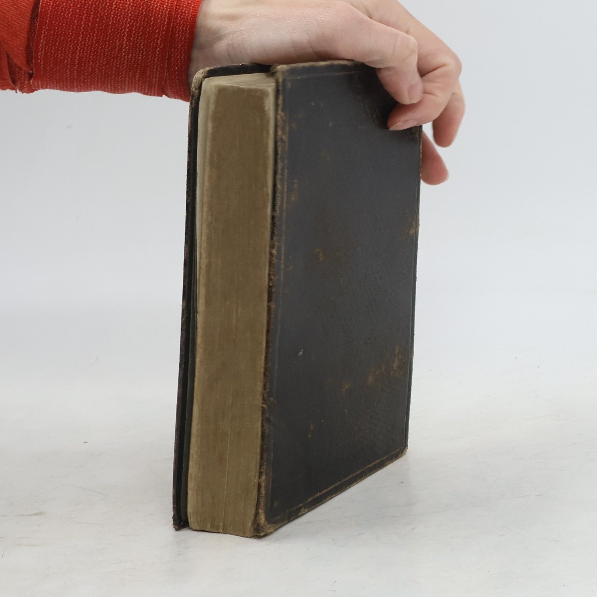 kolektiv Mecklenburgisches Kirchengesangbuch