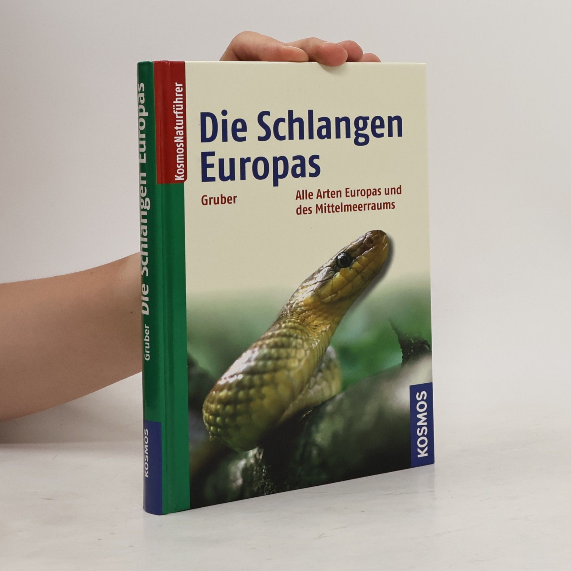 Ulrich Gruber Die Schlangen Europas