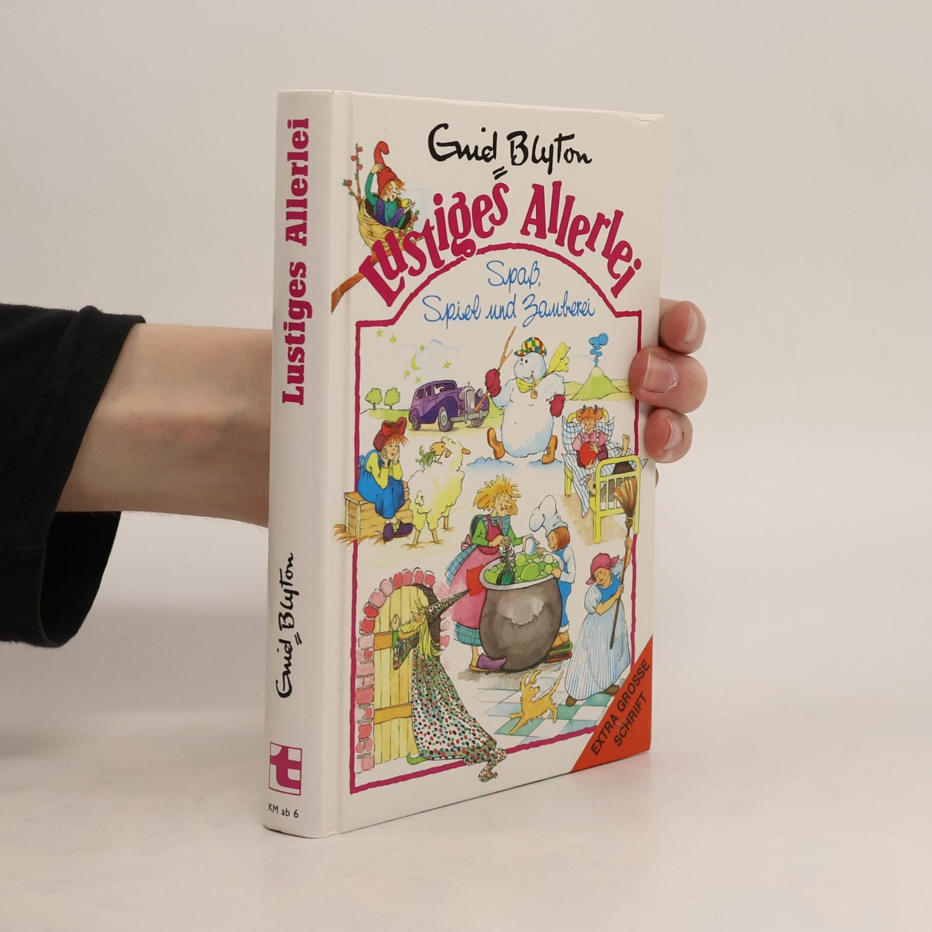 Enid Blyton Lustiges Allerlei