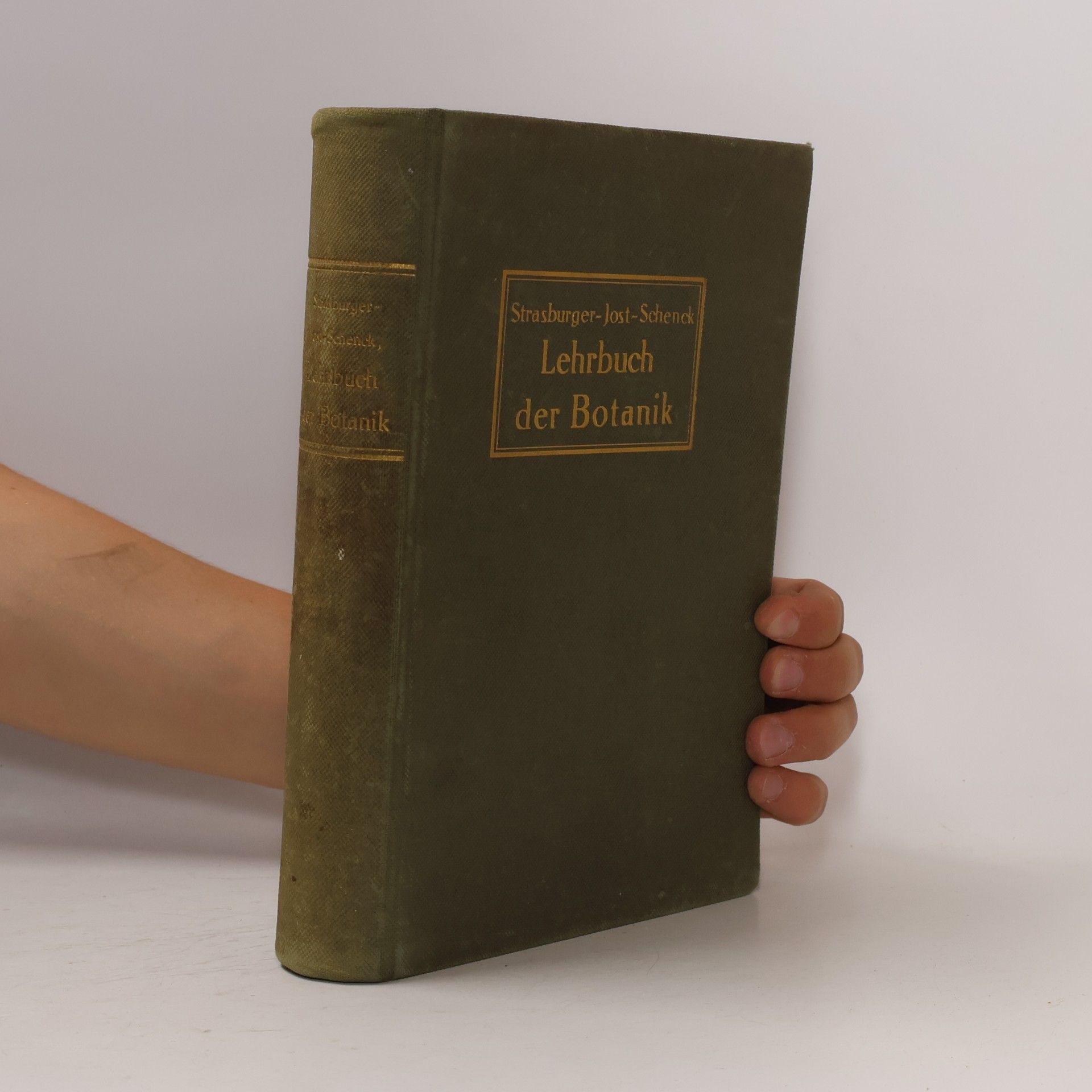 Lehrbuch der Botanik für Hochschulen