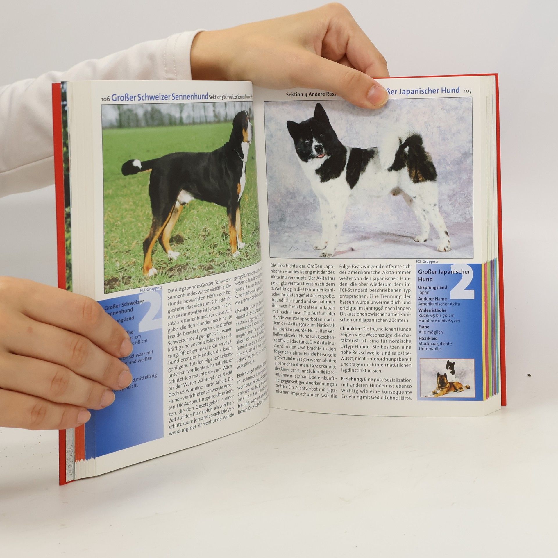 Dominik Kieselbach Hunde