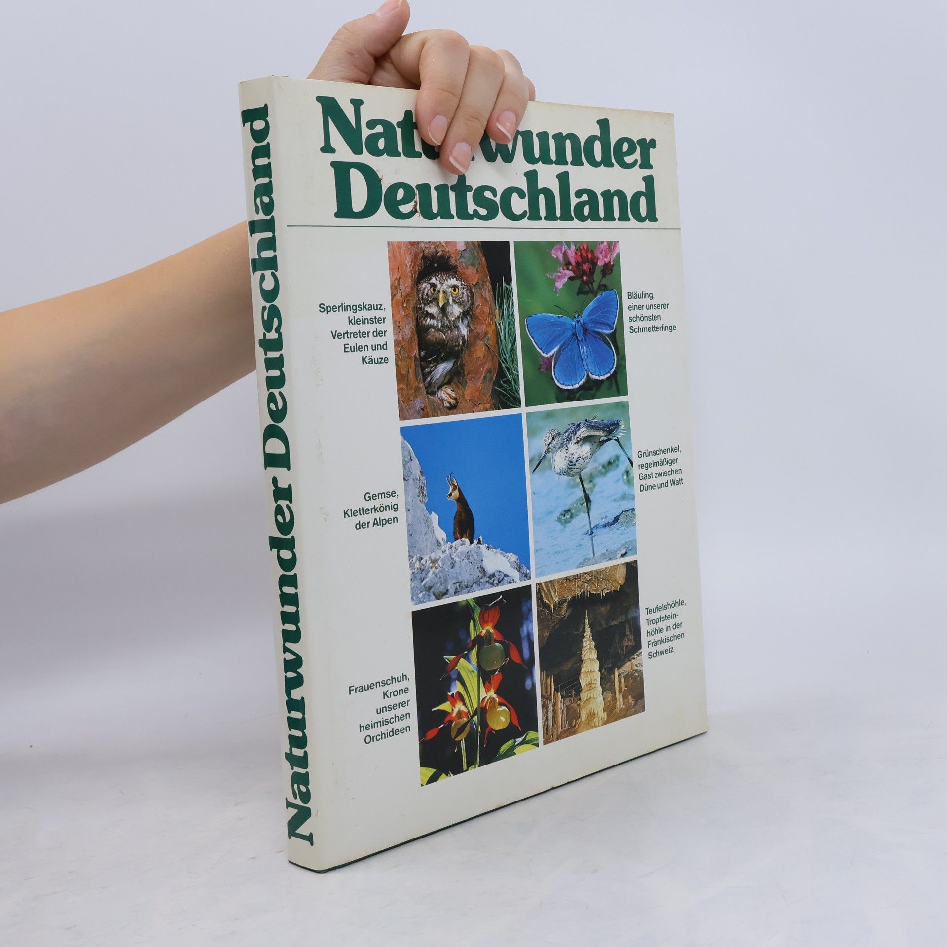 Kolektiv autorů Naturwunder Deutschland