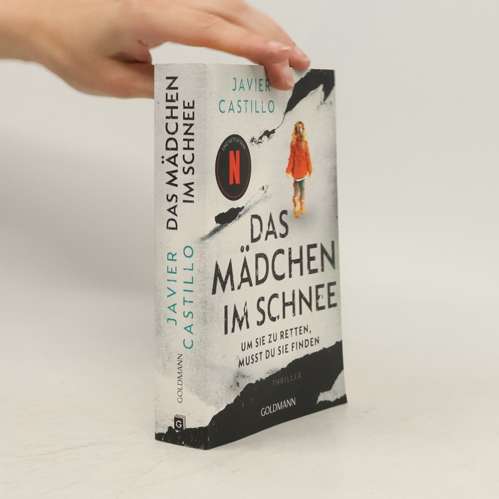 Das Mädchen im Schnee - Um sie zu retten, musst du sie finden. Thriller - Das Buch zur erfolgreichen Netflix-Serie