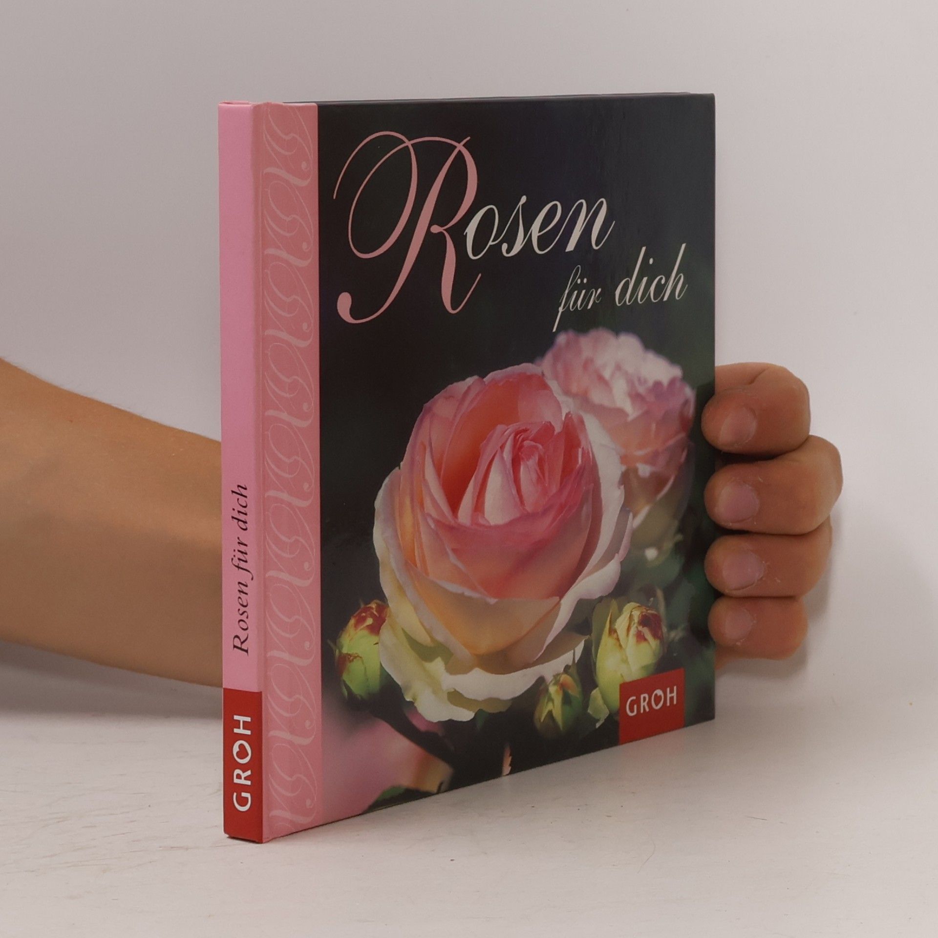 Kolektiv autorů Rosen für dich