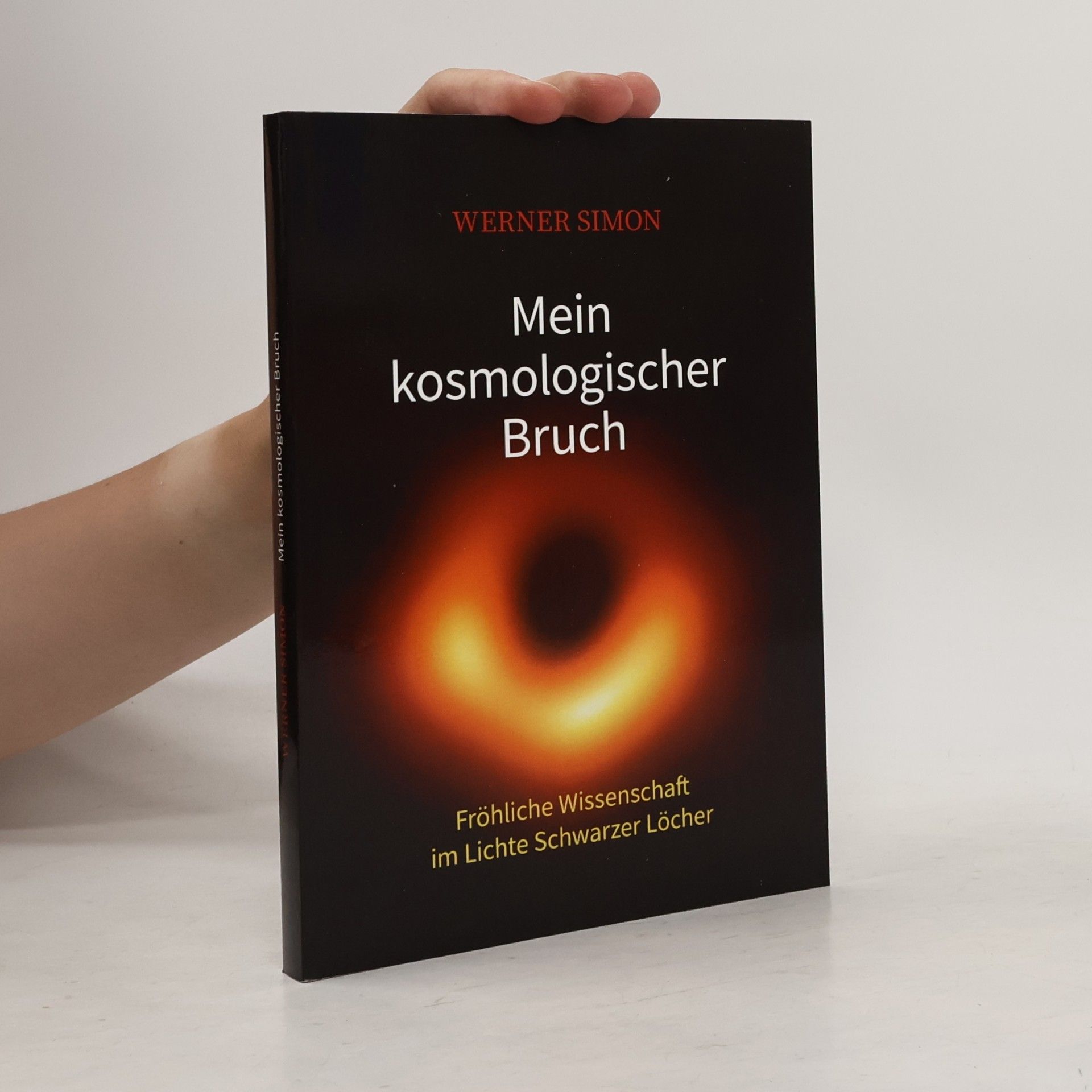 Werner Simon Mein kosmologischer Bruch - Fröhliche Wissenschaft im Lichte Schwarzer Löcher