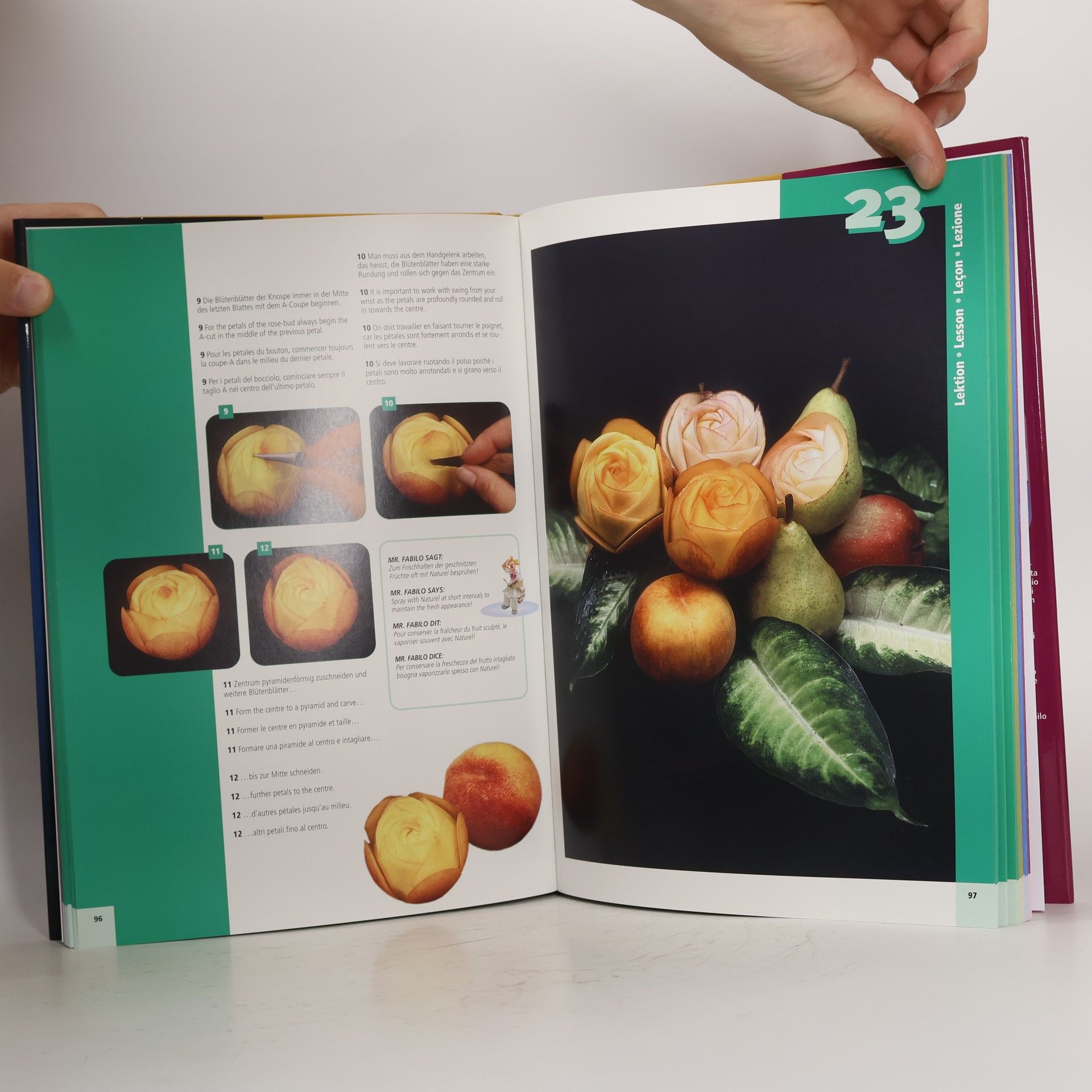 Louise Fassbind Das grosse Lehrbuch der Schaustückartistik
