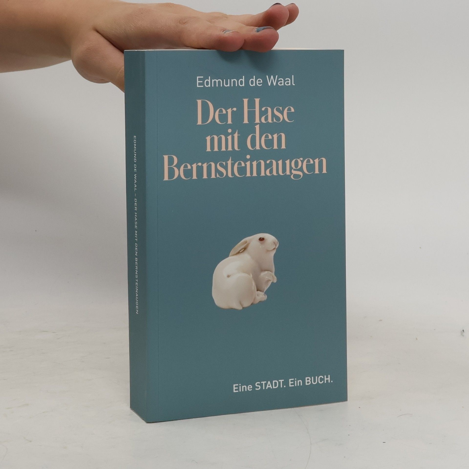 Edmund de Waal Der Hase mit den Bernsteinaugen