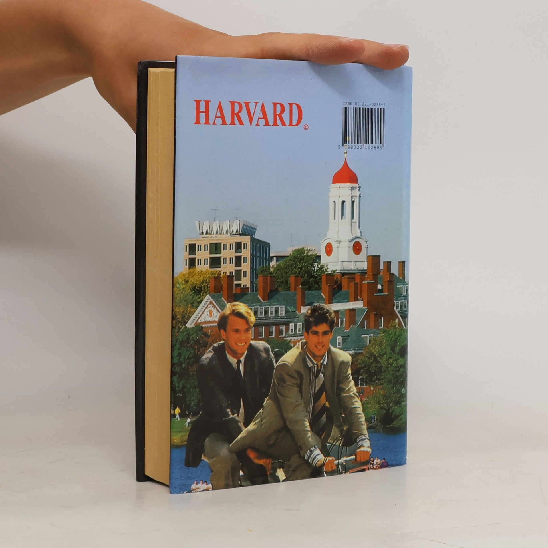Erich Segal Chlapci z Harvardu