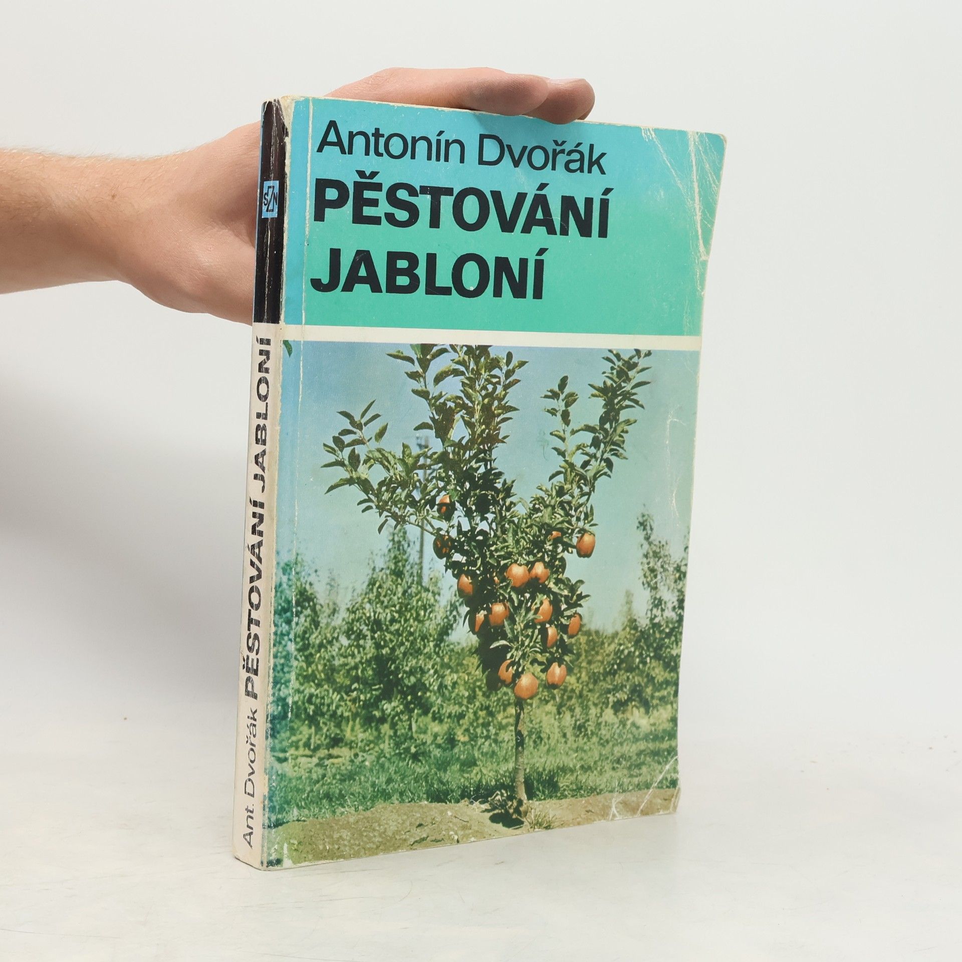 Pěstování jabloní