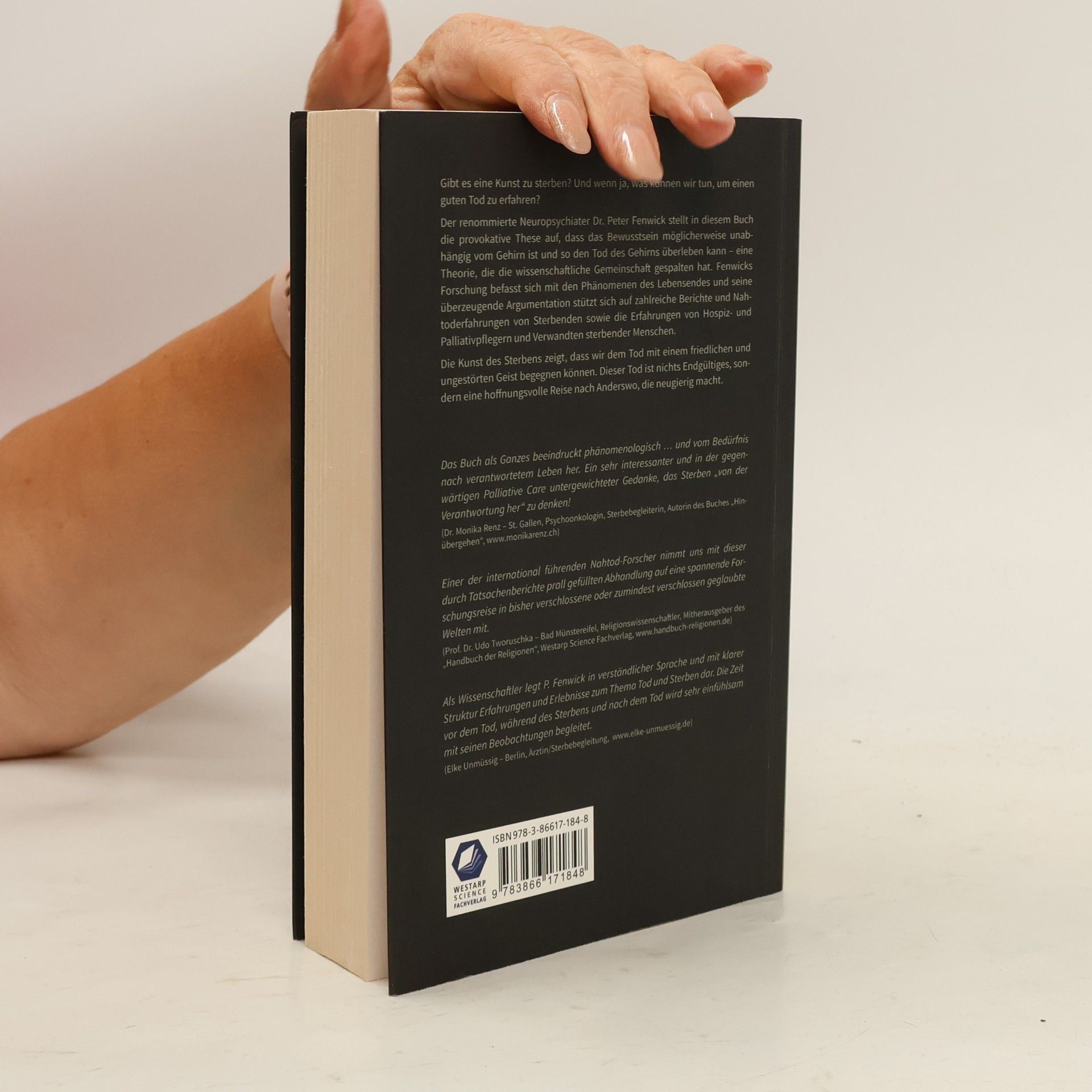 Peter Fenwick Die Kunst des Sterbens