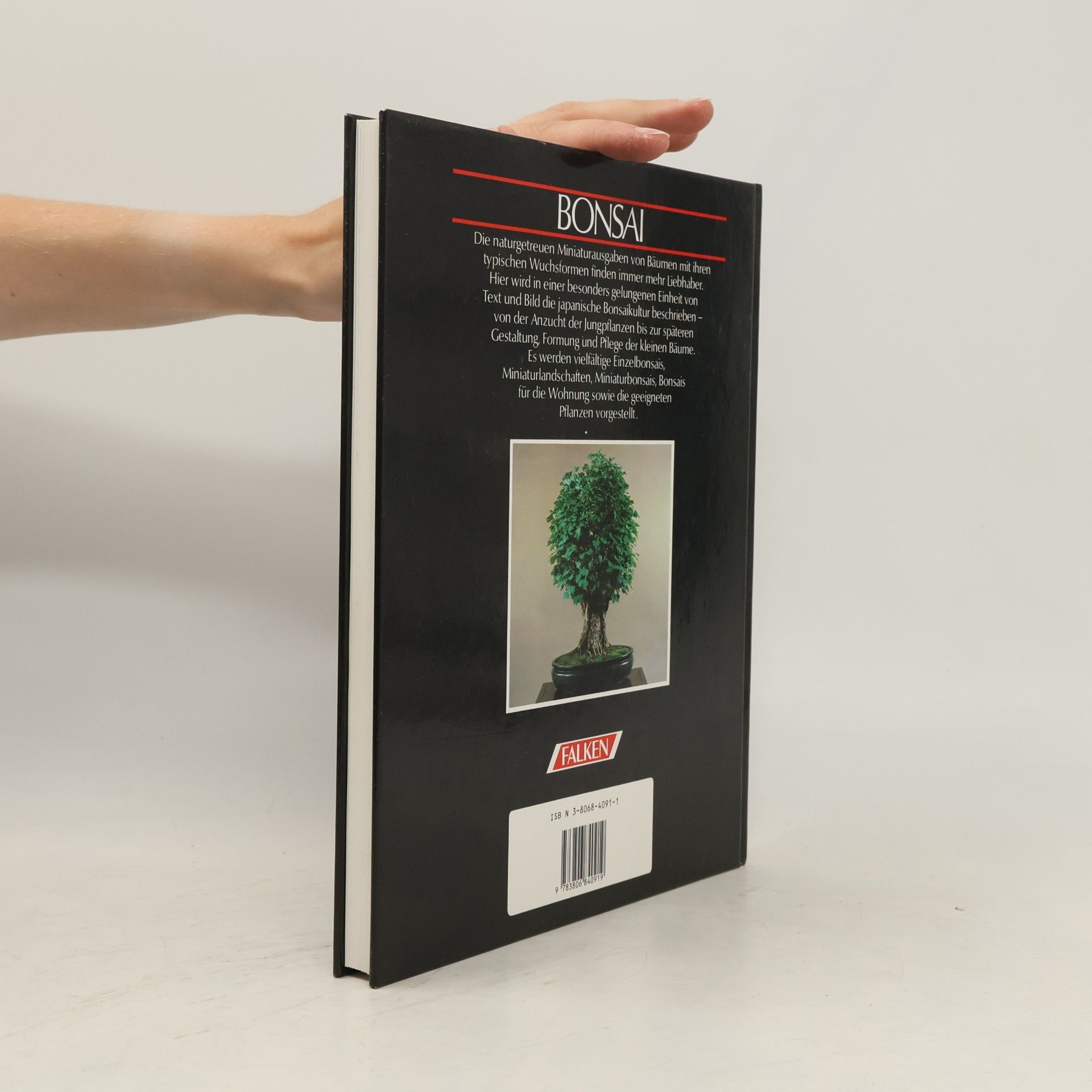Benedikt Lesniewicz Bonsai