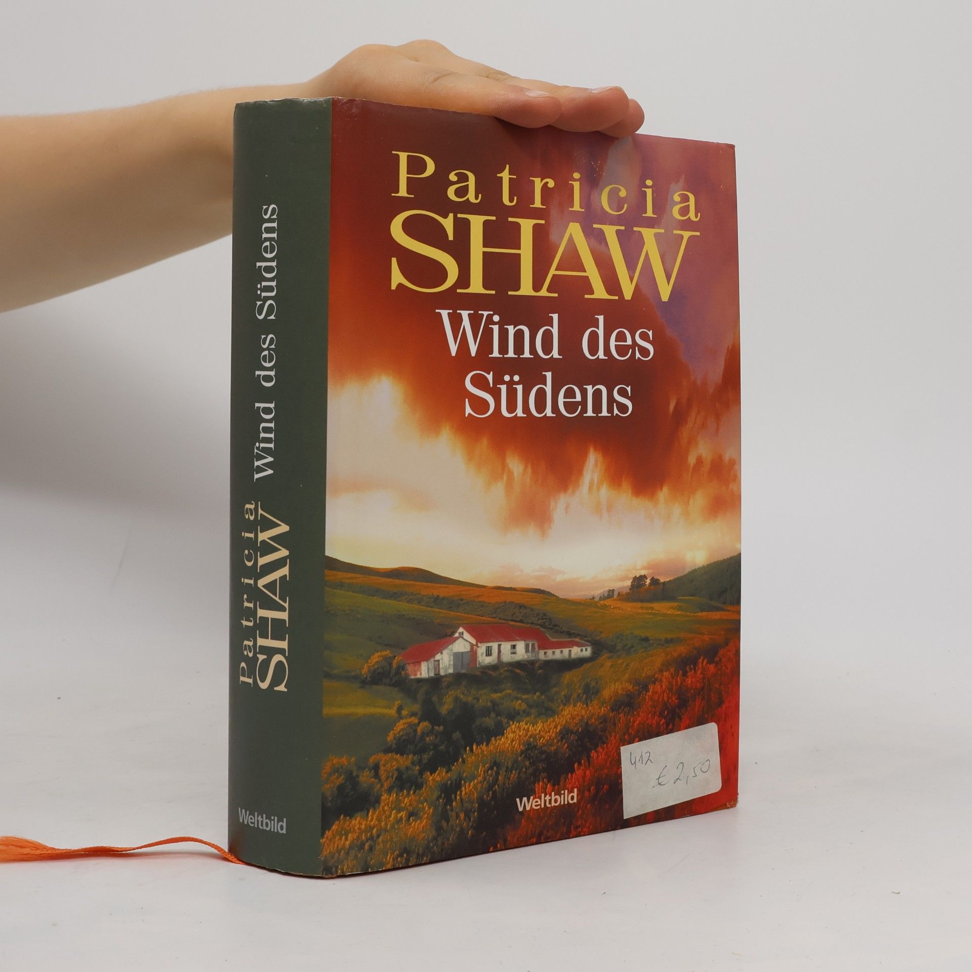 Patricia Shaw Wind des Südens