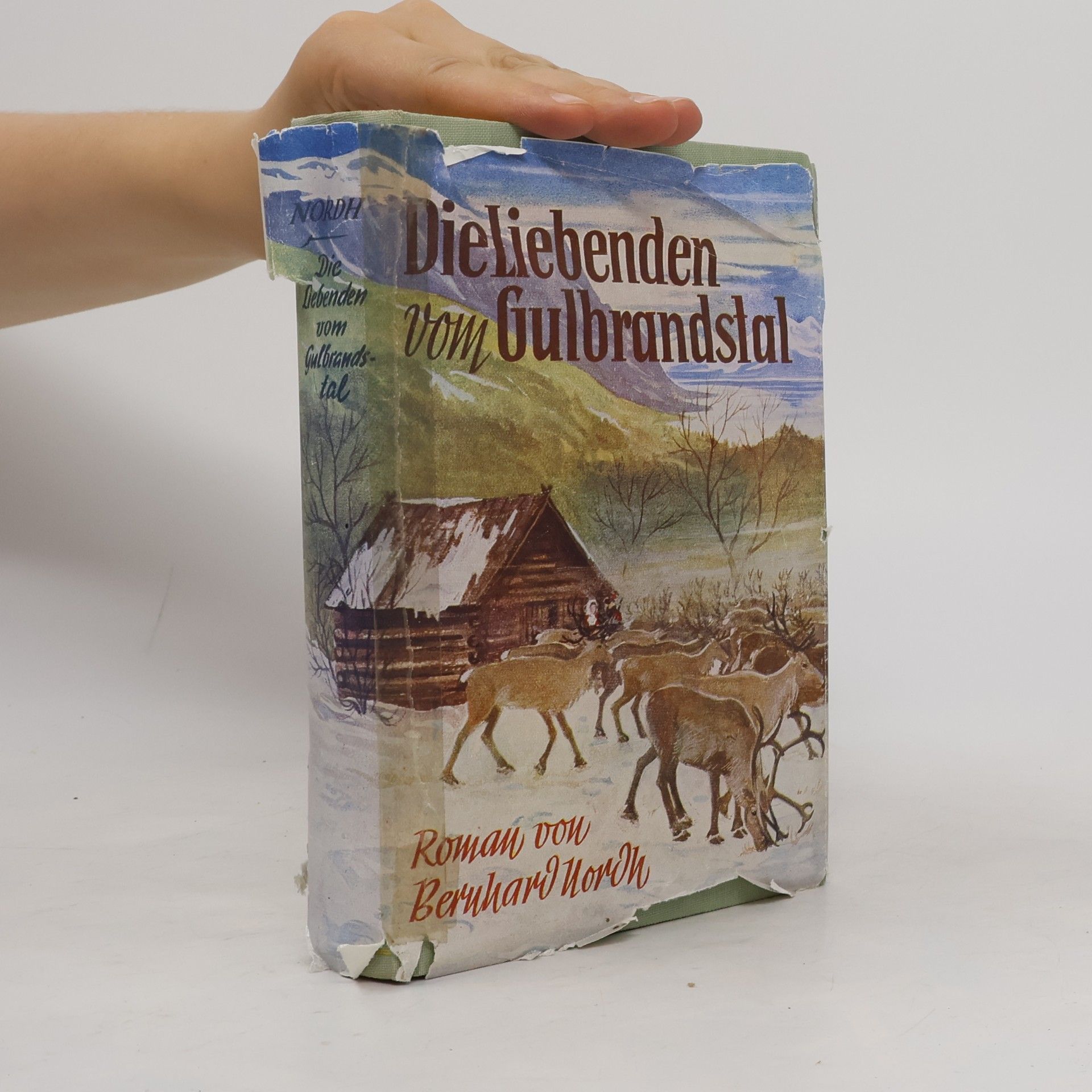 Karl Baal Die Liebenden vom Gulbrandstal