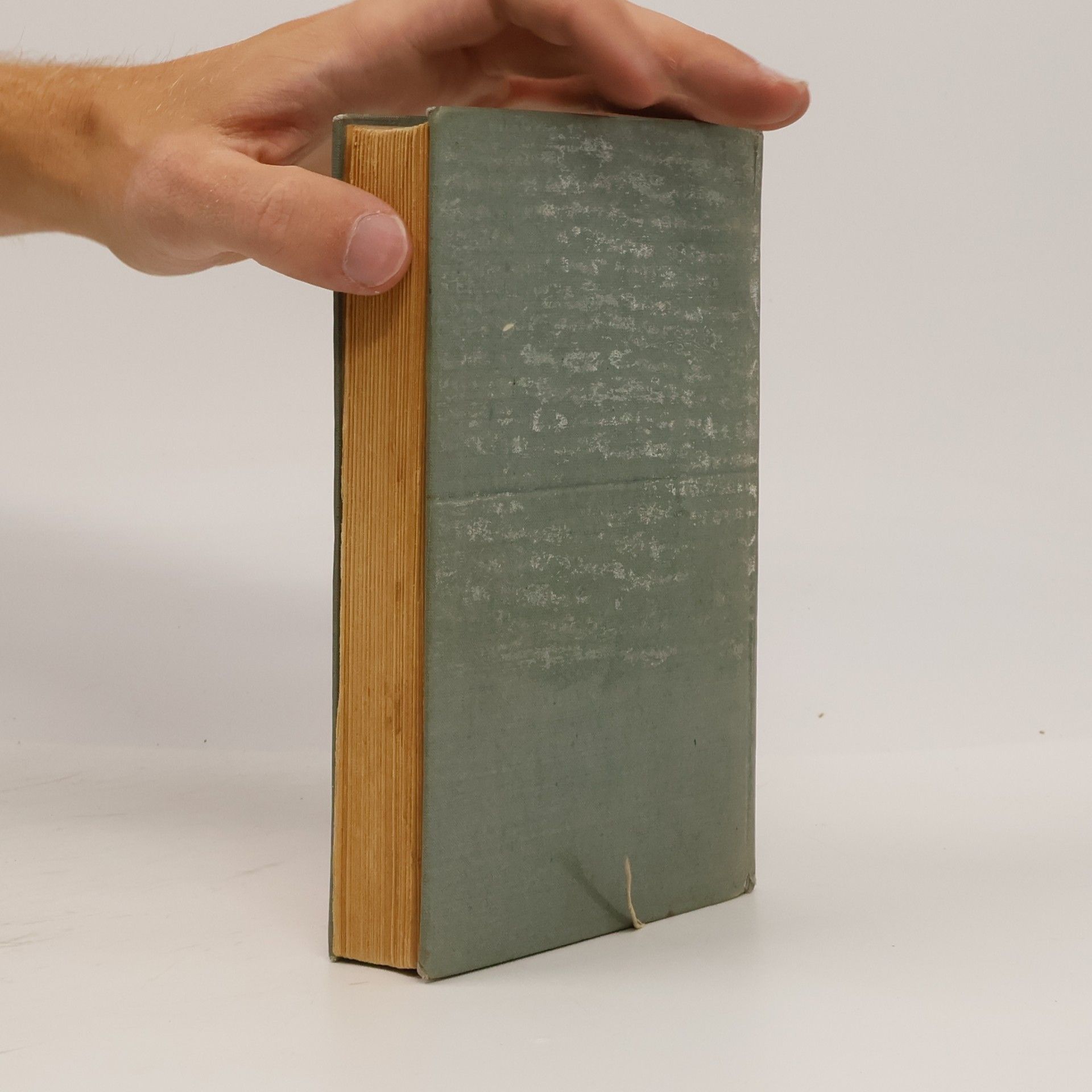 Anne Frank Das Tagebuch der Anne Frank