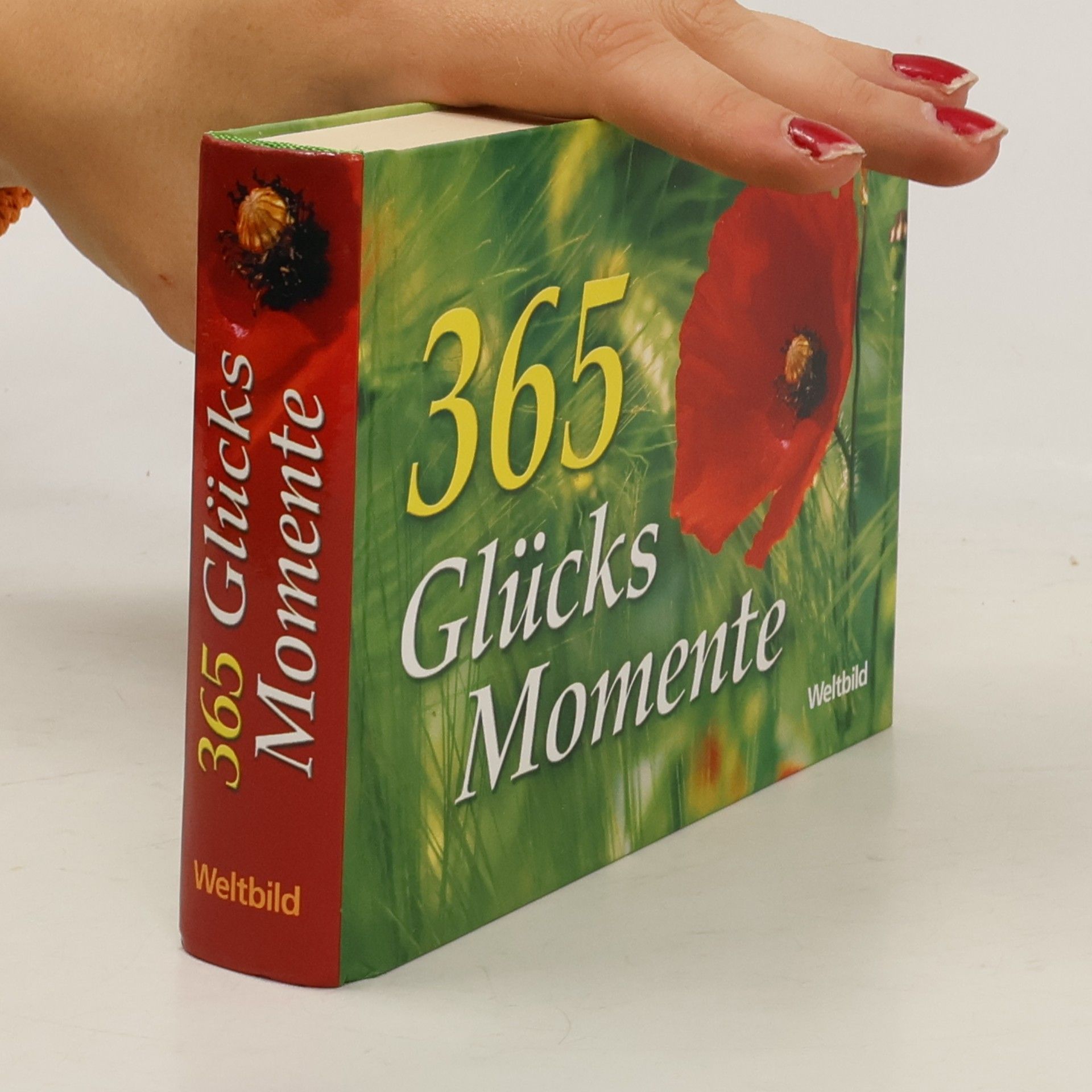 Autores varios 365 Glücks Momente