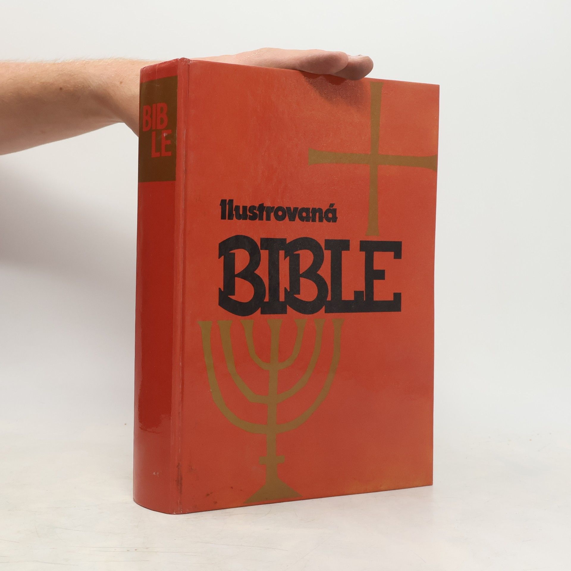 Samuel Terrien Ilustrovaná Bible pro mládež