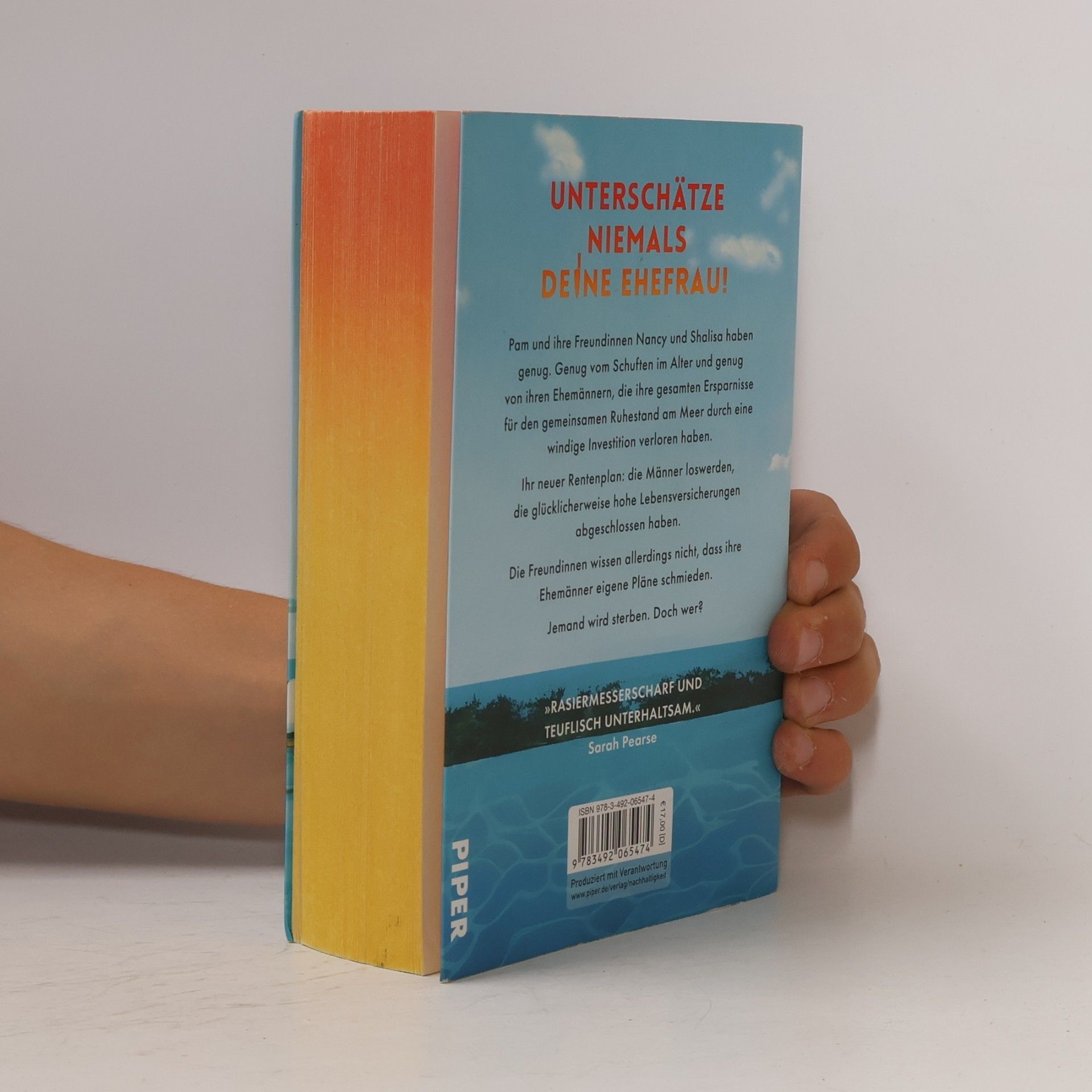 Sue Hincenbergs Very Bad Widows