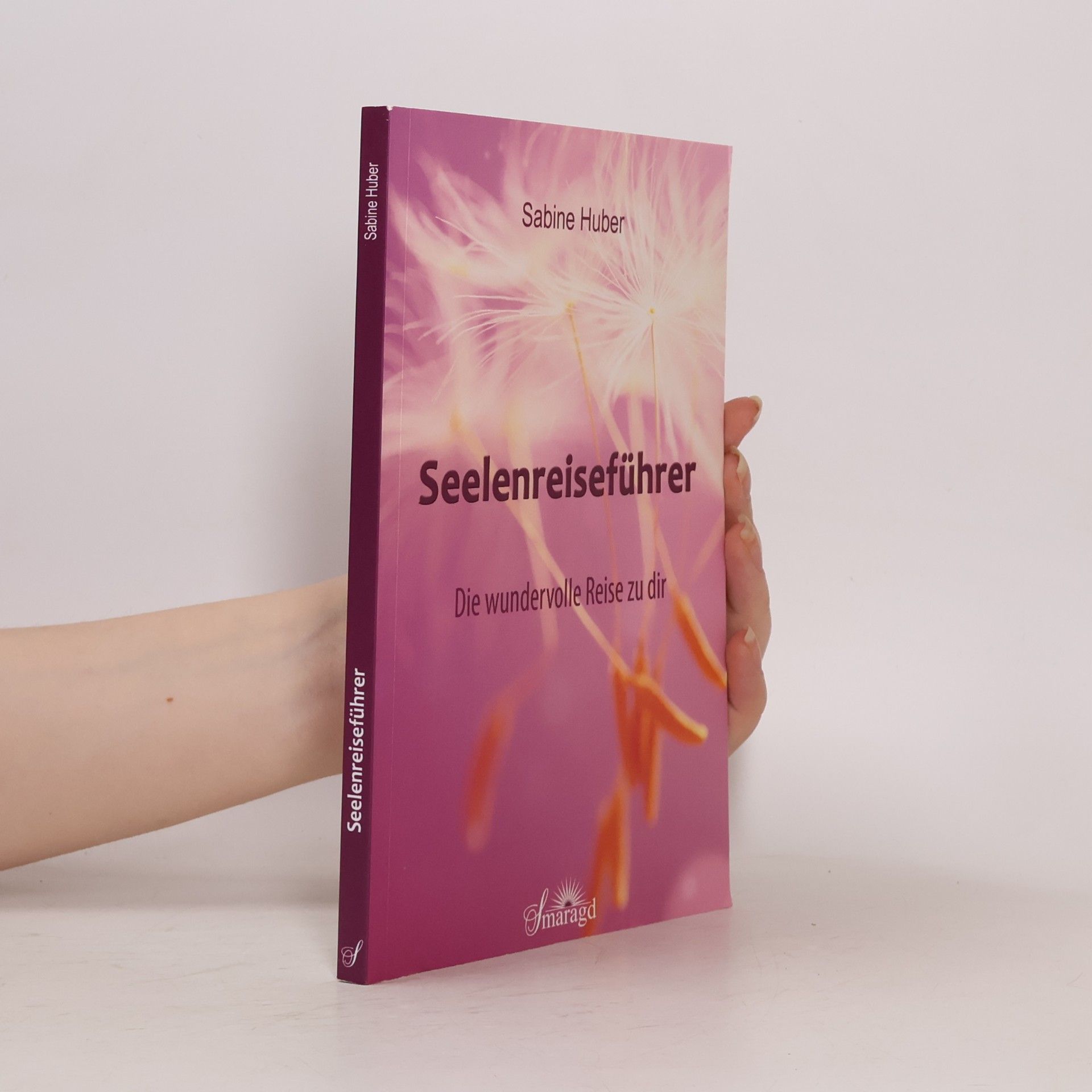 Seelenreiseführer. Die wundervolle Reise zu dir