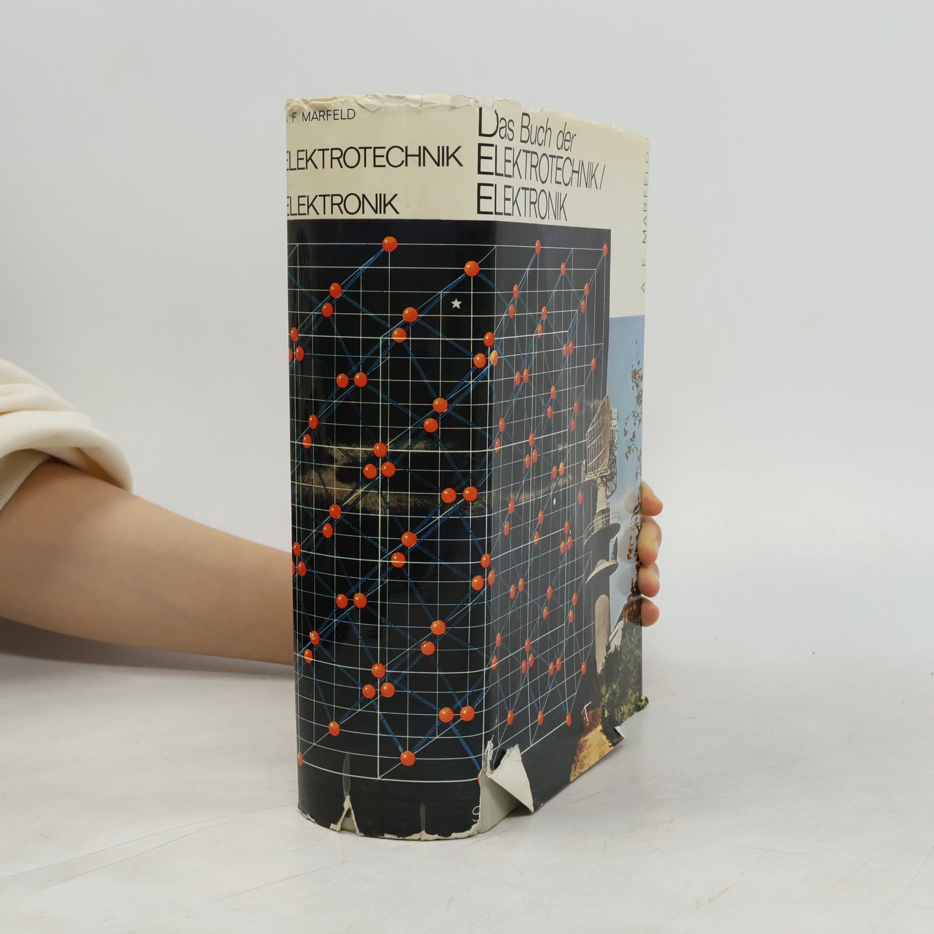 Das Buch der Elektrotechnik/Elektronik