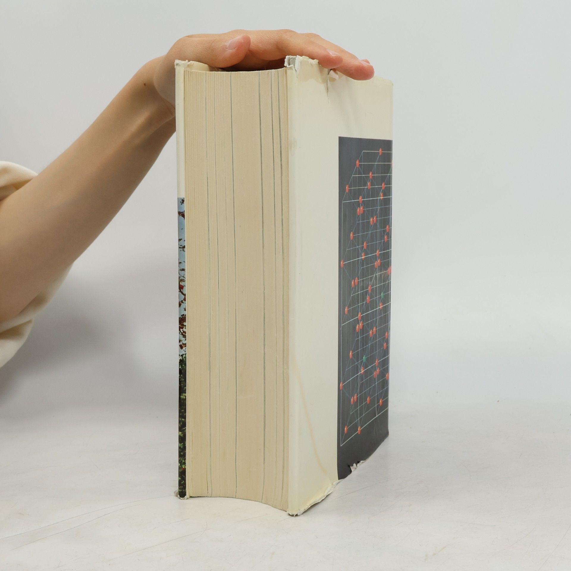 Alexander F. Marfeld Das Buch der Elektrotechnik/Elektronik
