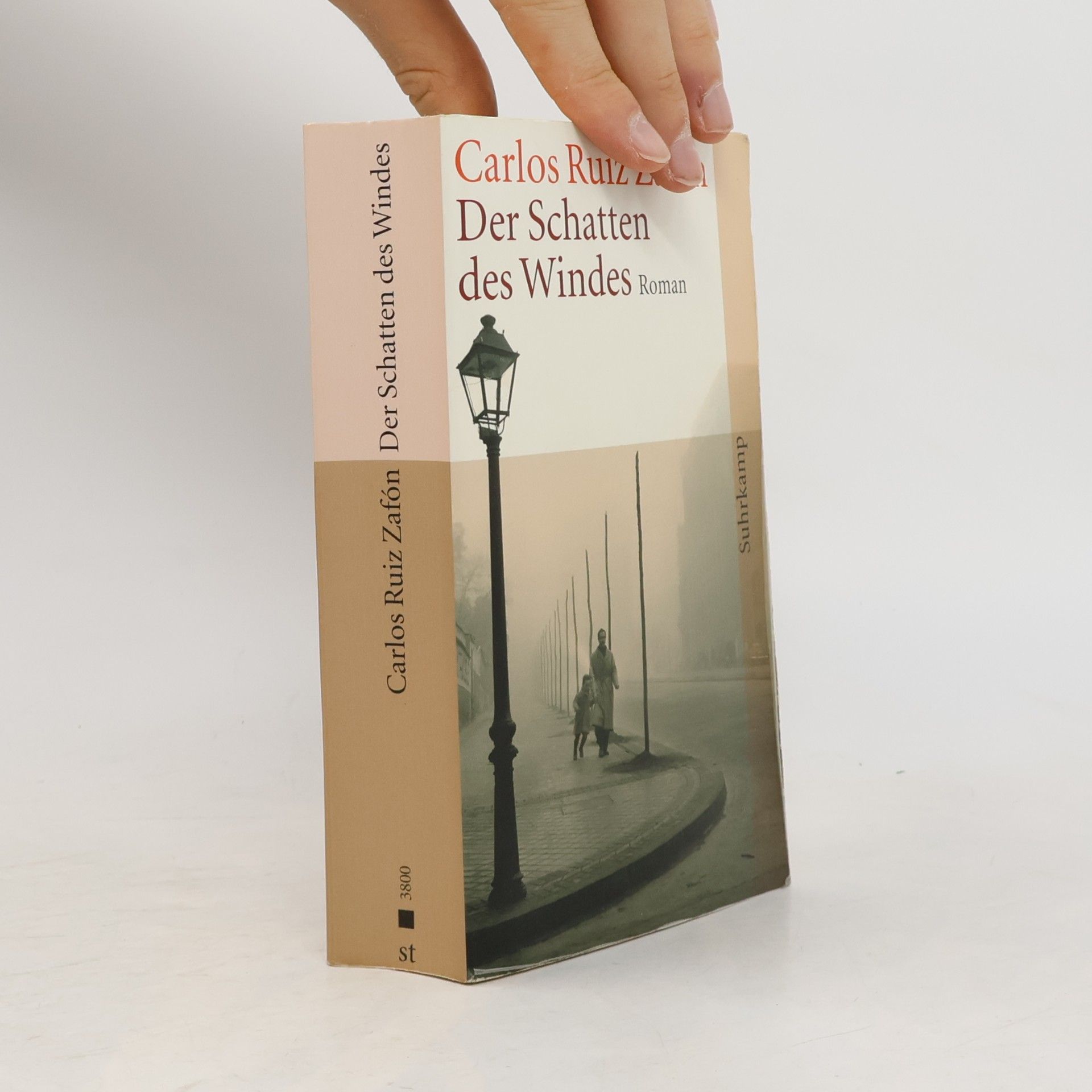Der Schatten des Windes