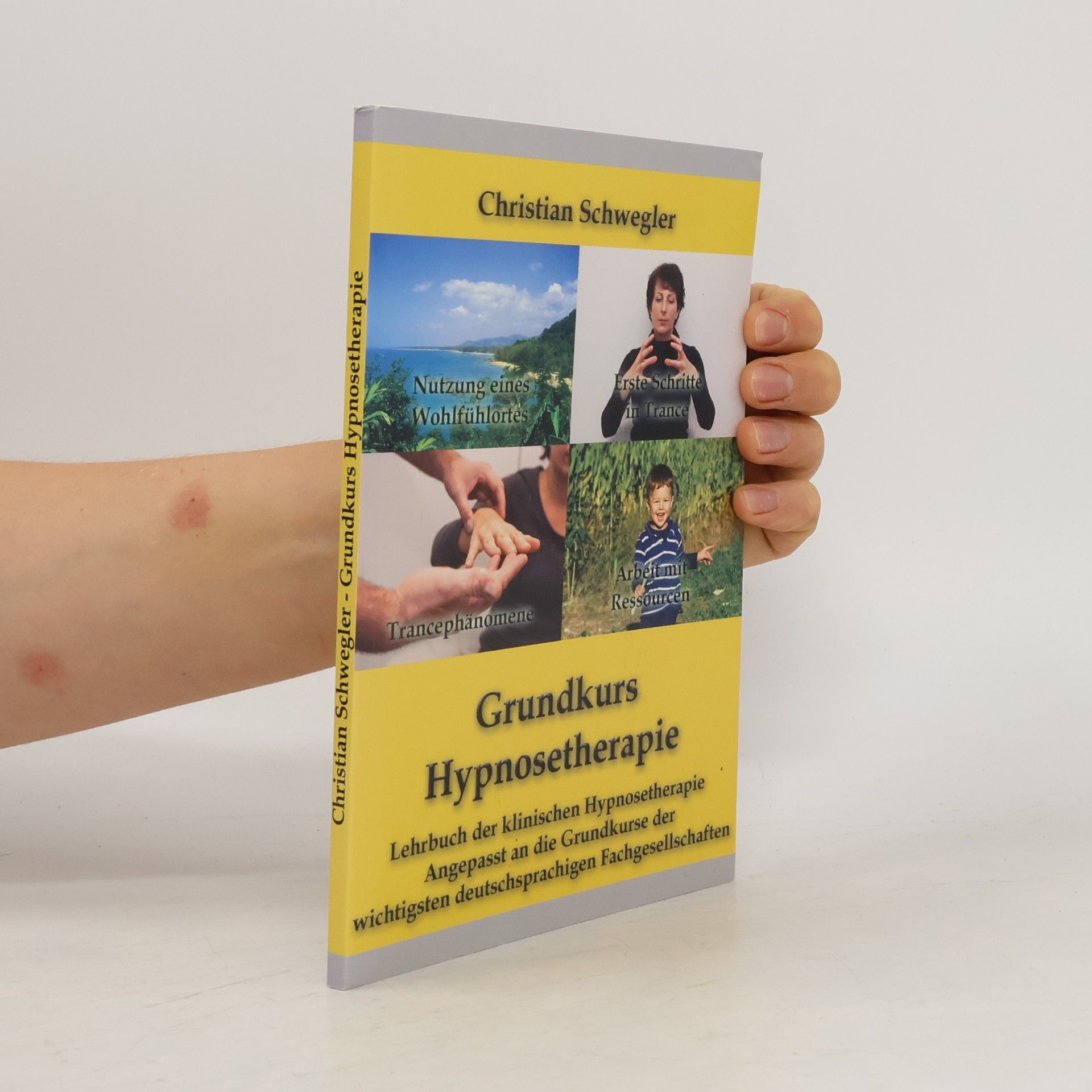 Christian Schwegler Grundkurs Hypnosetherapie