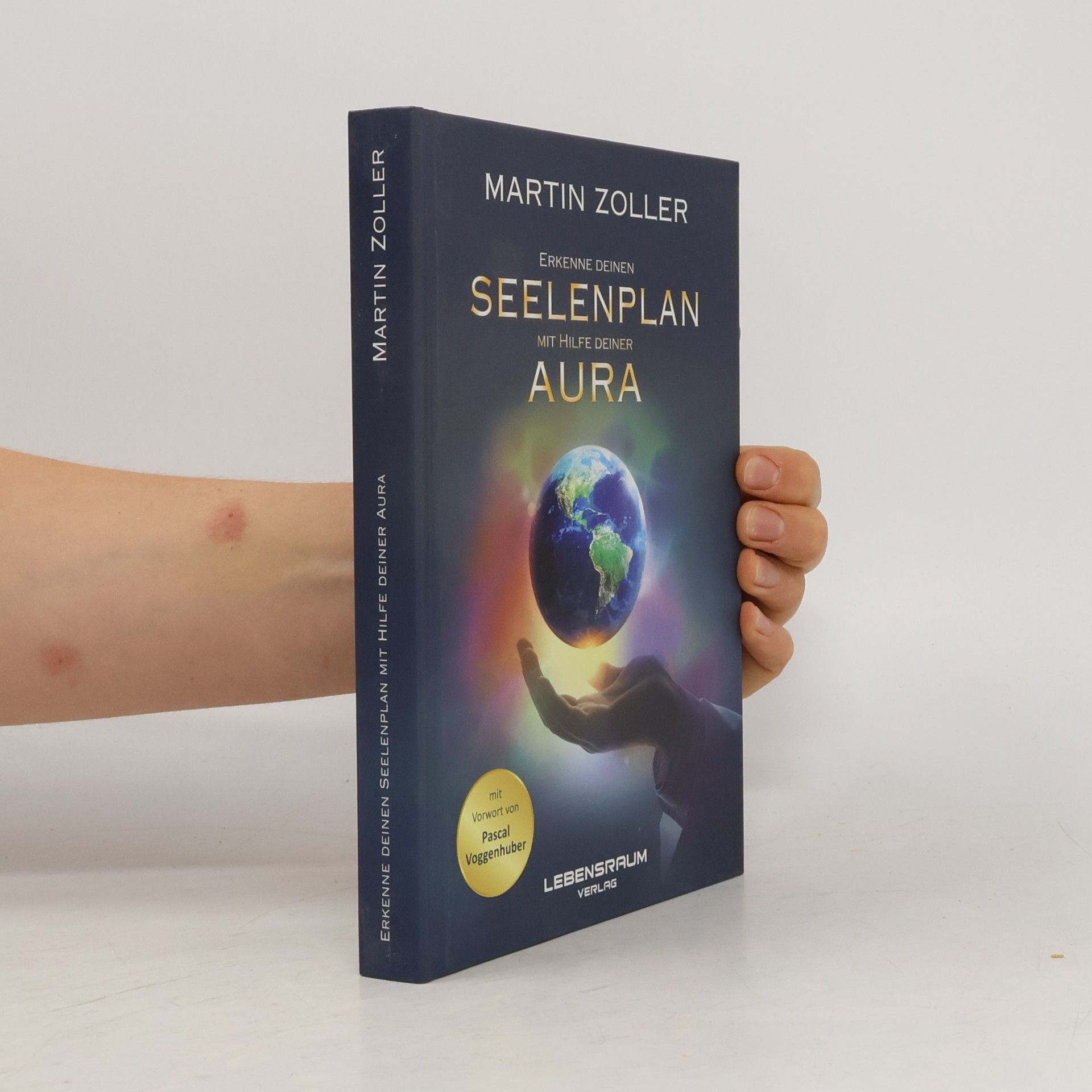 Martin Zoller Erkenne deinen Seelenplan mit Hilfe deiner Aura
