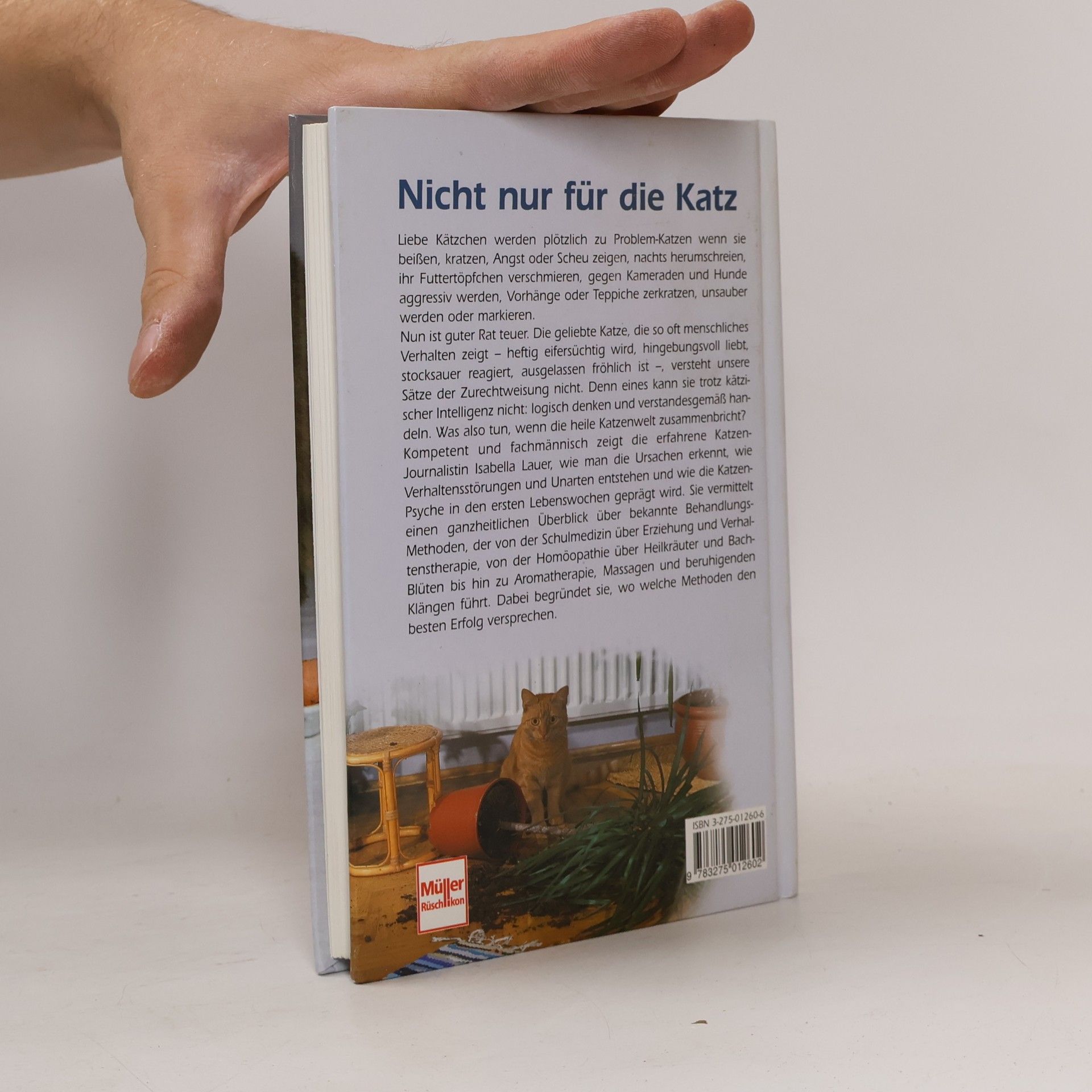 Isabella Lauer Katzenprobleme - Problemkatzen