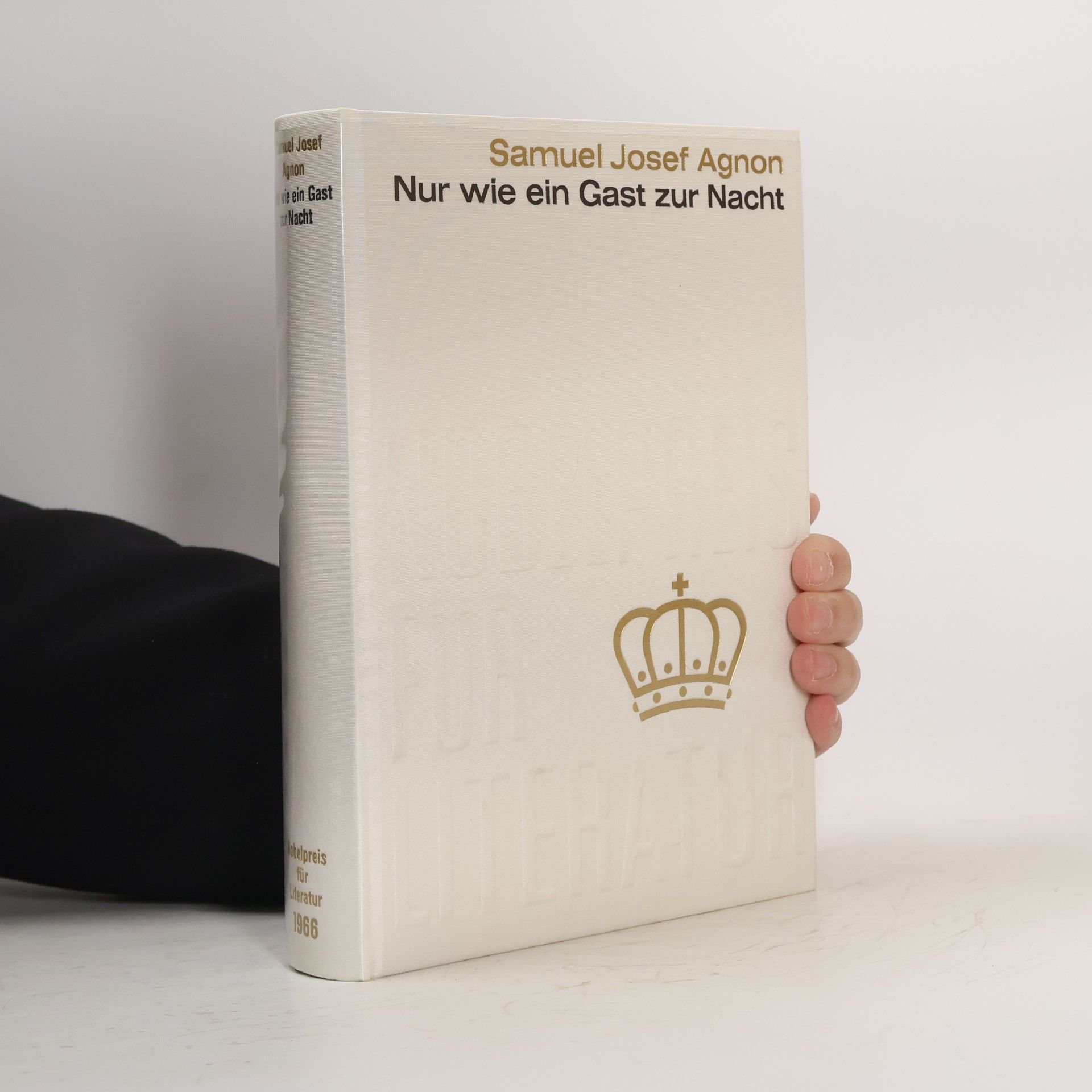 Šmuel Josef Agnon Nur wie ein Gast zur Nacht